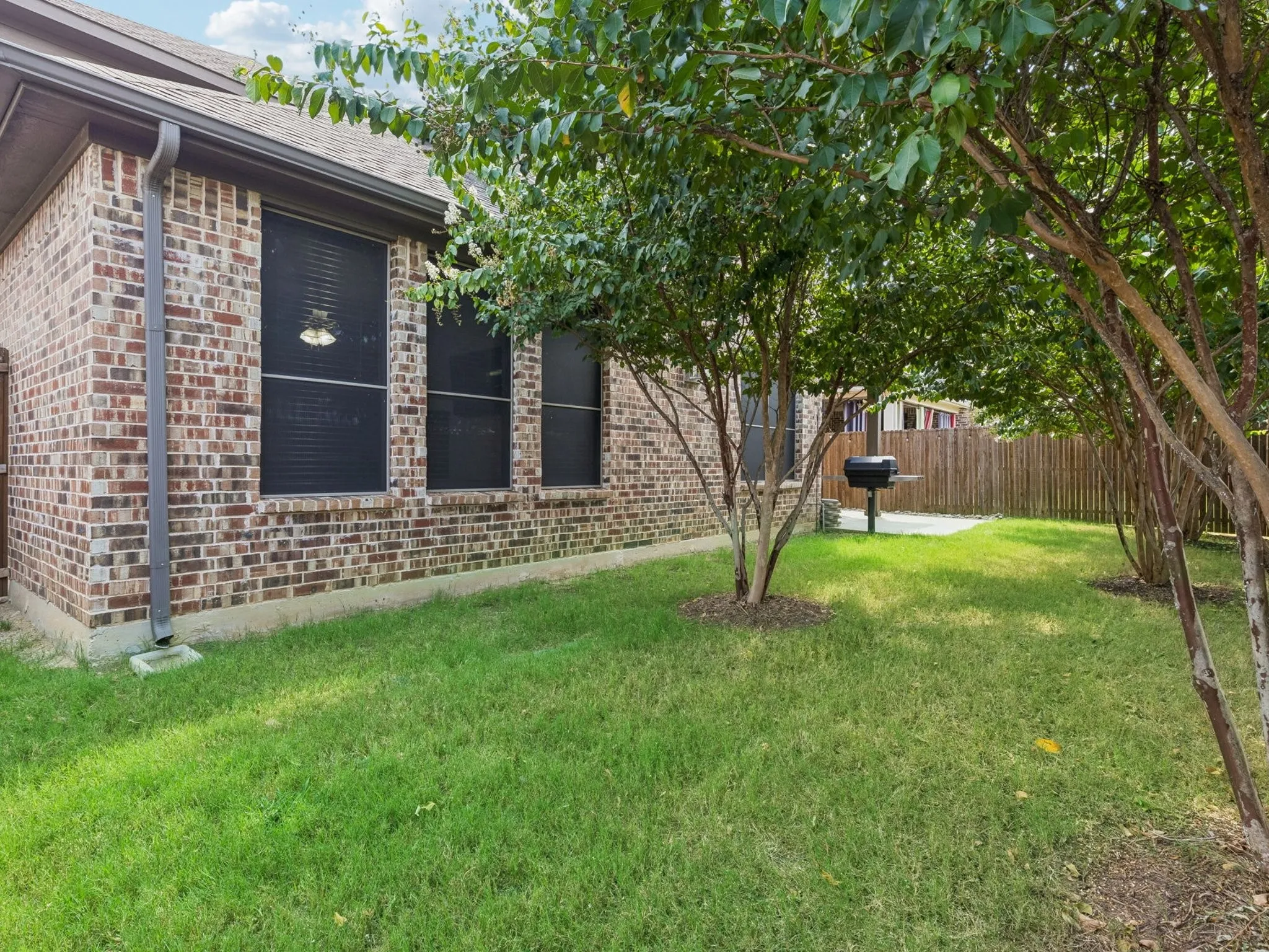 Back Yard w Mature Crepe Myrtles