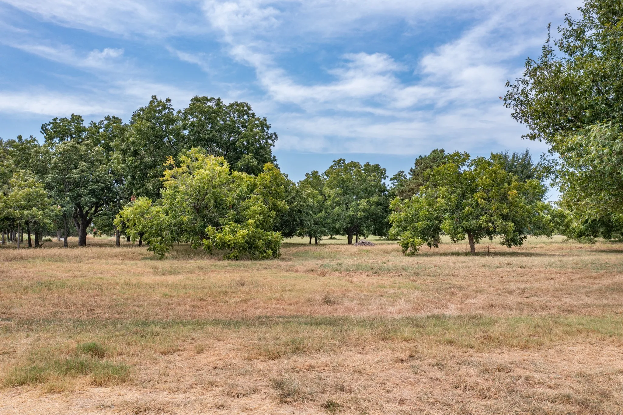 Gorgeous, mature trees create an amazing country feel.