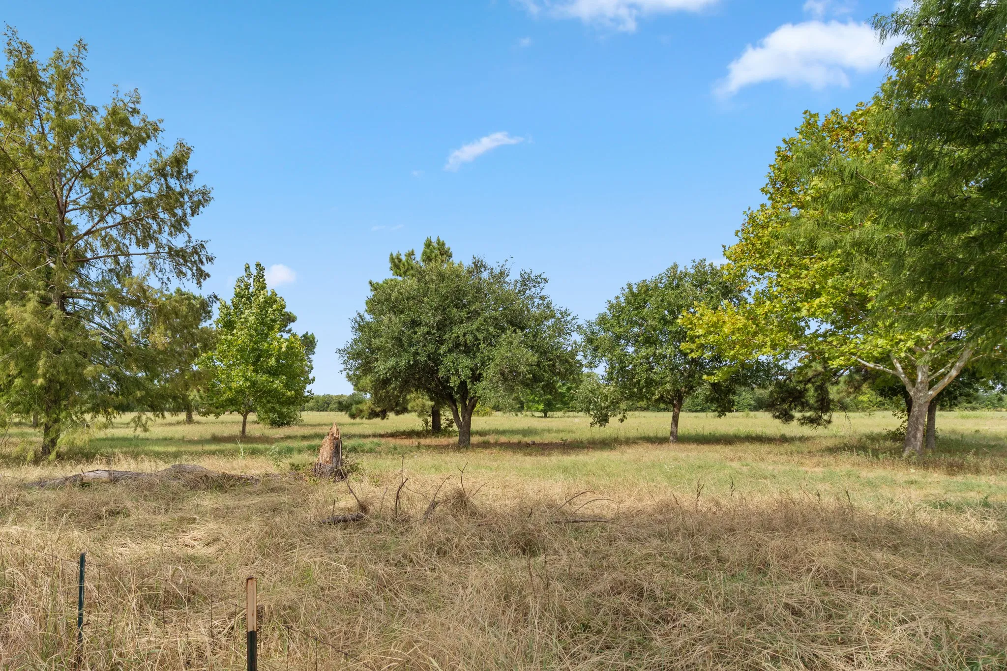 Trees scattered on the property give plenty of places for shade and natural beauty.