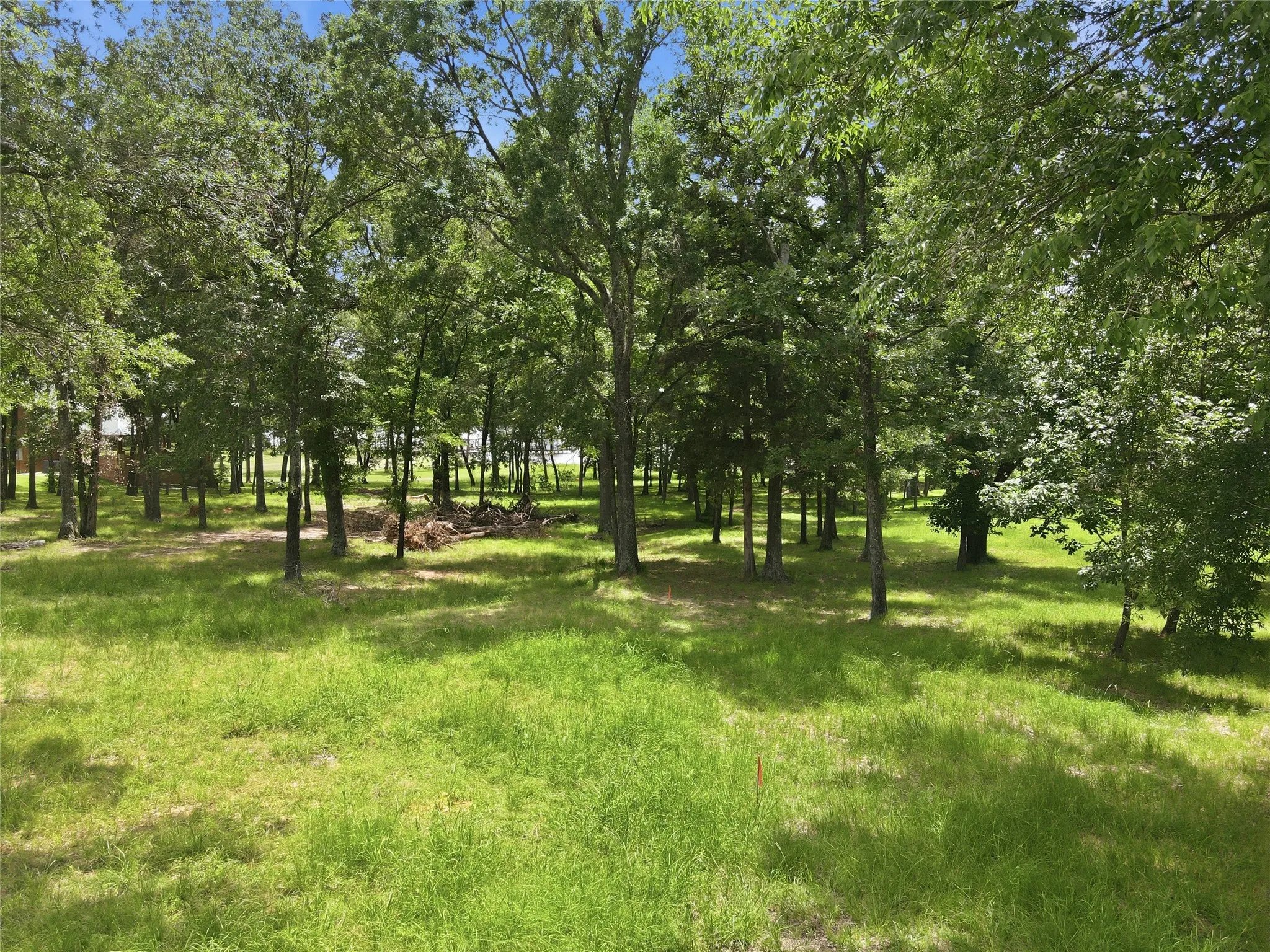 Unimproved Land For Sale in Rains County , 00 RS County Road 3500, Emory, Texas 75440, 0, 0, Garage spaces, 0 Sqft, built in 0, Price $265,000, mls#21368320, Real Estate Agent in Emory, Homes For Sale in Rains county, Homes For Sale in Emory, Realtor in Emory Texas, Real Estate Brokerage Independent Realty Texas, Luminita Cordes Realtor