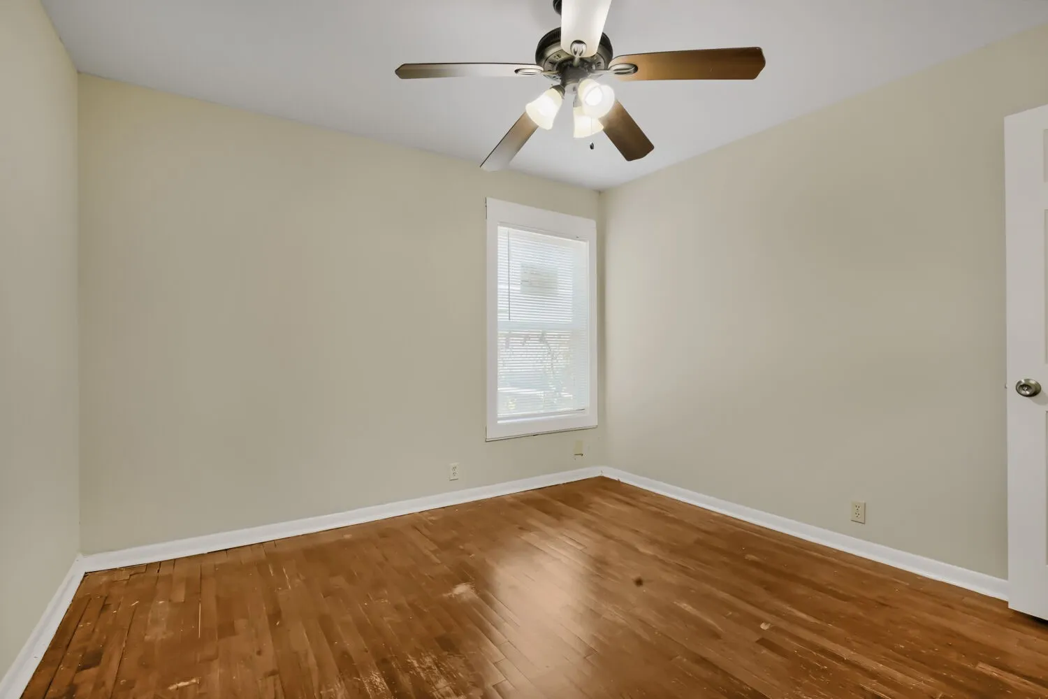 Spacious bedroom featuring warm wood-finish flooring, ceiling fan with integrated lighting, and abundant natural light from a large double-hung window
