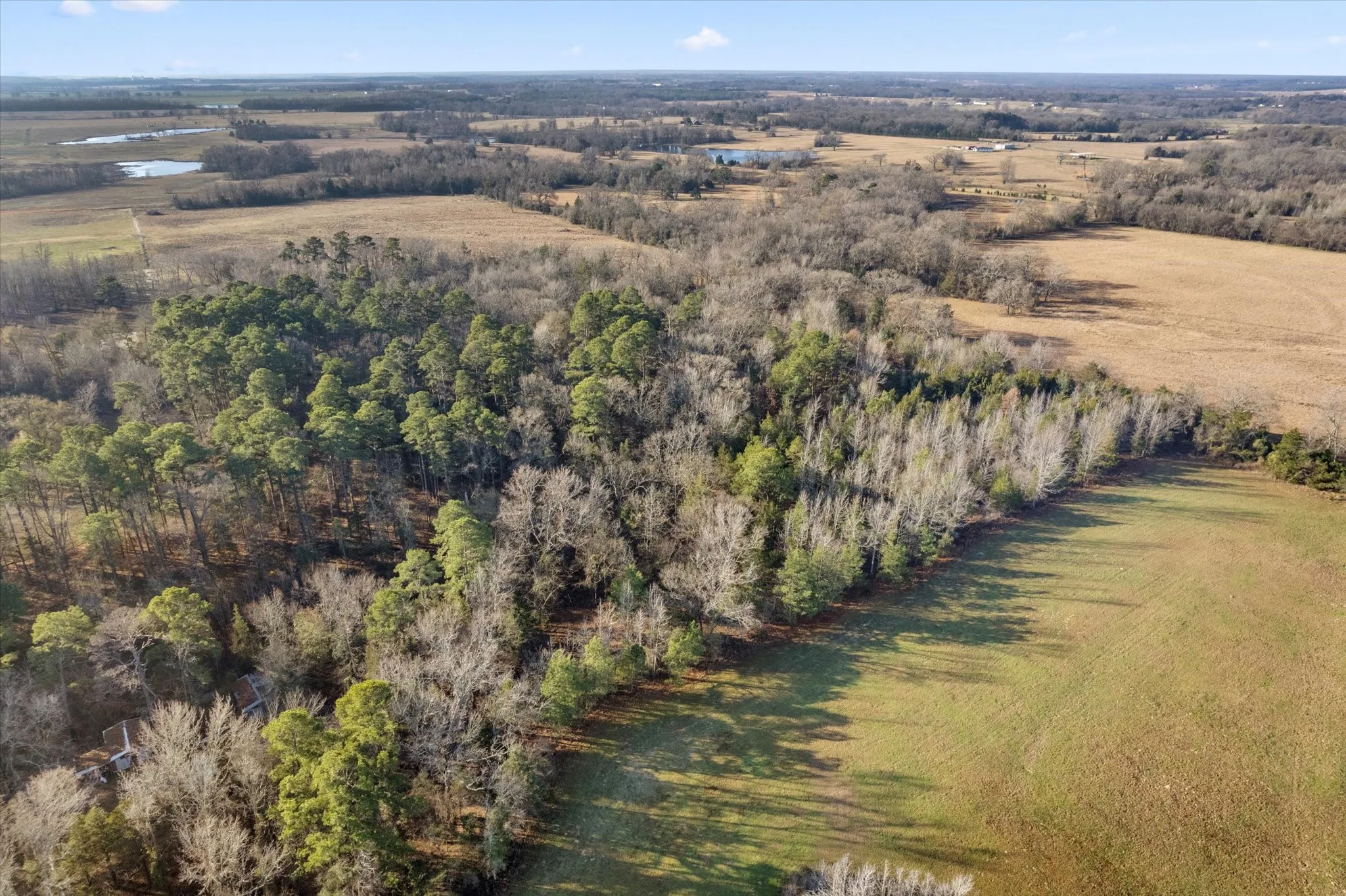 Unimproved Land For Sale in Titus County , TBD CR 1240, Mt Pleasant, Texas 75455, 0, 0, Garage spaces, 0 Sqft, built in 0, Price $120,000, mls#21366436, Real Estate Agent in Mt Pleasant, Homes For Sale in Titus county, Homes For Sale in Mt Pleasant, Realtor in Mt Pleasant Texas, Real Estate Brokerage Independent Realty Texas, Luminita Cordes Realtor