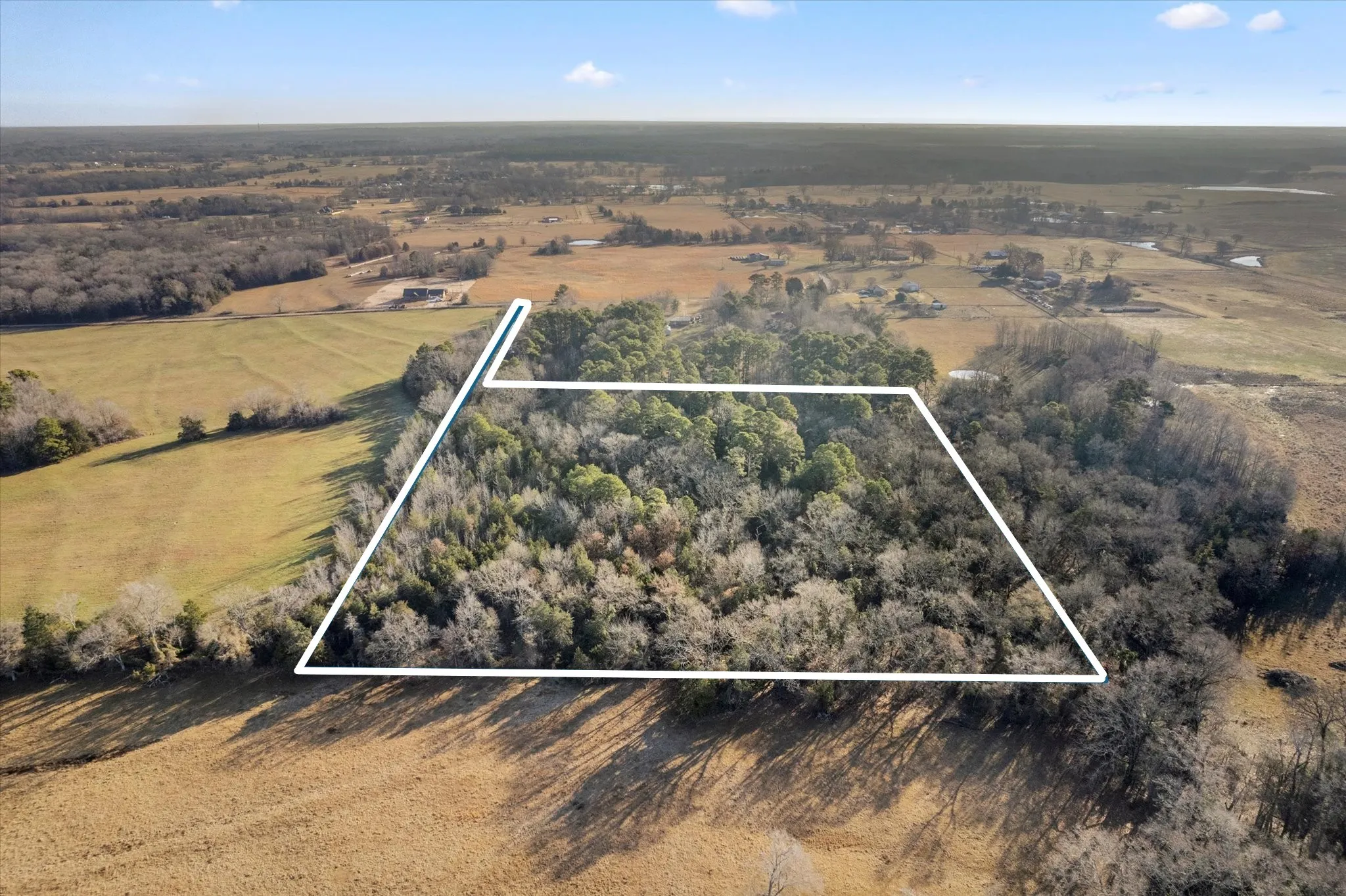 Unimproved Land For Sale in Titus County , TBD CR 1240, Mt Pleasant, Texas 75455, 0, 0, Garage spaces, 0 Sqft, built in 0, Price $120,000, mls#21366436, Real Estate Agent in Mt Pleasant, Homes For Sale in Titus county, Homes For Sale in Mt Pleasant, Realtor in Mt Pleasant Texas, Real Estate Brokerage Independent Realty Texas, Luminita Cordes Realtor