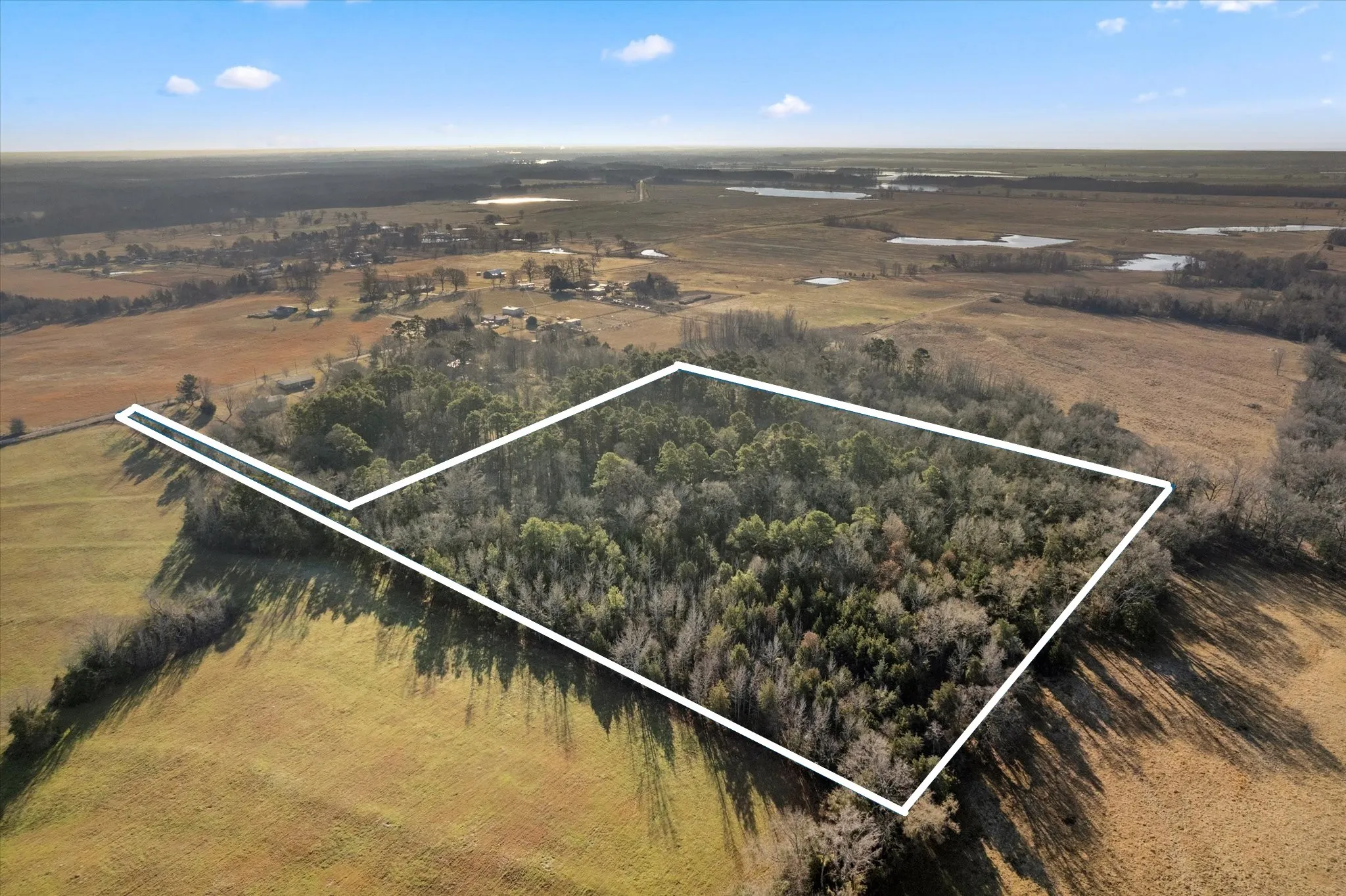Unimproved Land For Sale in Titus County , TBD CR 1240, Mt Pleasant, Texas 75455, 0, 0, Garage spaces, 0 Sqft, built in 0, Price $120,000, mls#21366436, Real Estate Agent in Mt Pleasant, Homes For Sale in Titus county, Homes For Sale in Mt Pleasant, Realtor in Mt Pleasant Texas, Real Estate Brokerage Independent Realty Texas, Luminita Cordes Realtor