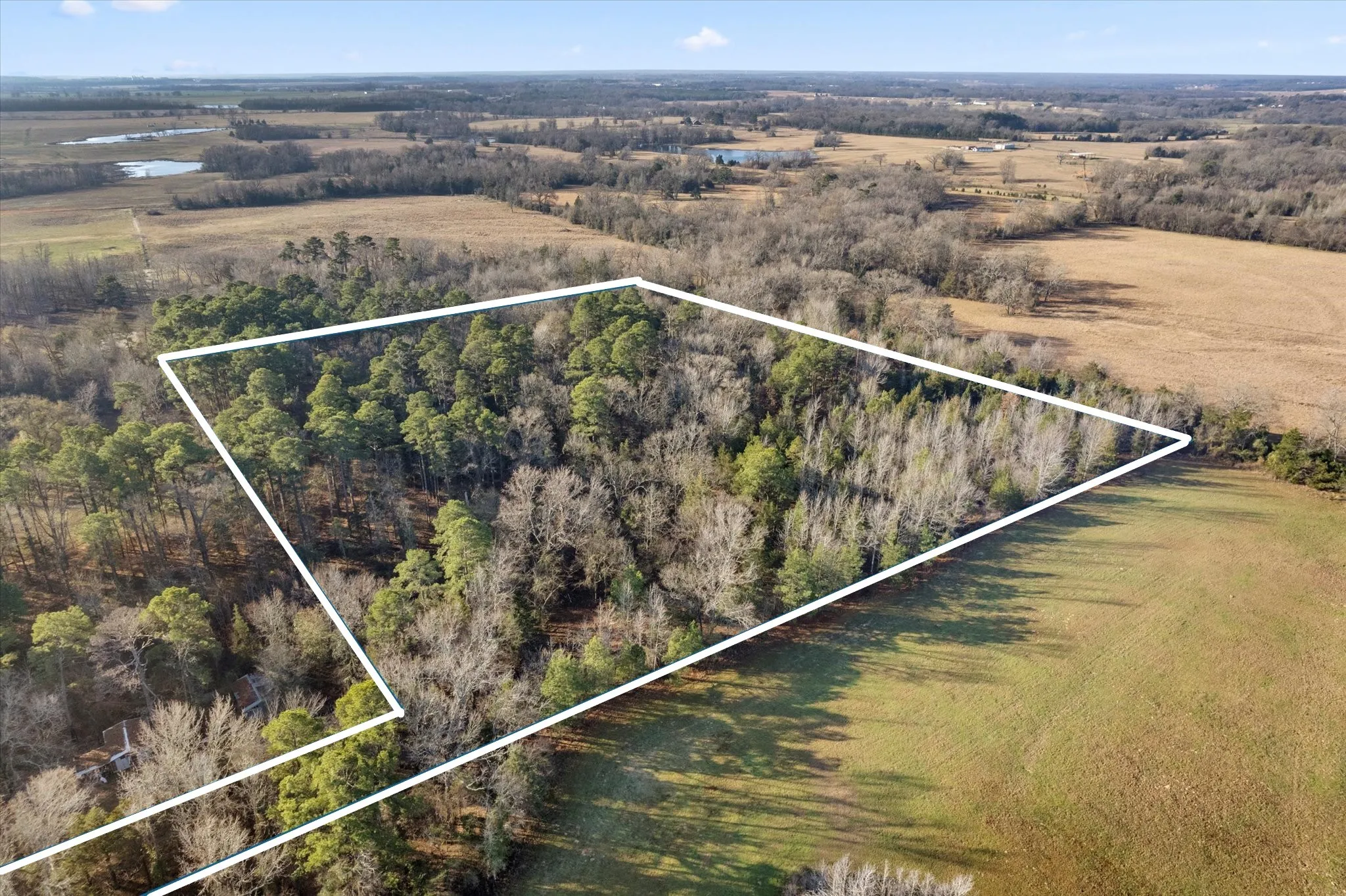 Unimproved Land For Sale in Titus County , TBD CR 1240, Mt Pleasant, Texas 75455, 0, 0, Garage spaces, 0 Sqft, built in 0, Price $120,000, mls#21366436, Real Estate Agent in Mt Pleasant, Homes For Sale in Titus county, Homes For Sale in Mt Pleasant, Realtor in Mt Pleasant Texas, Real Estate Brokerage Independent Realty Texas, Luminita Cordes Realtor