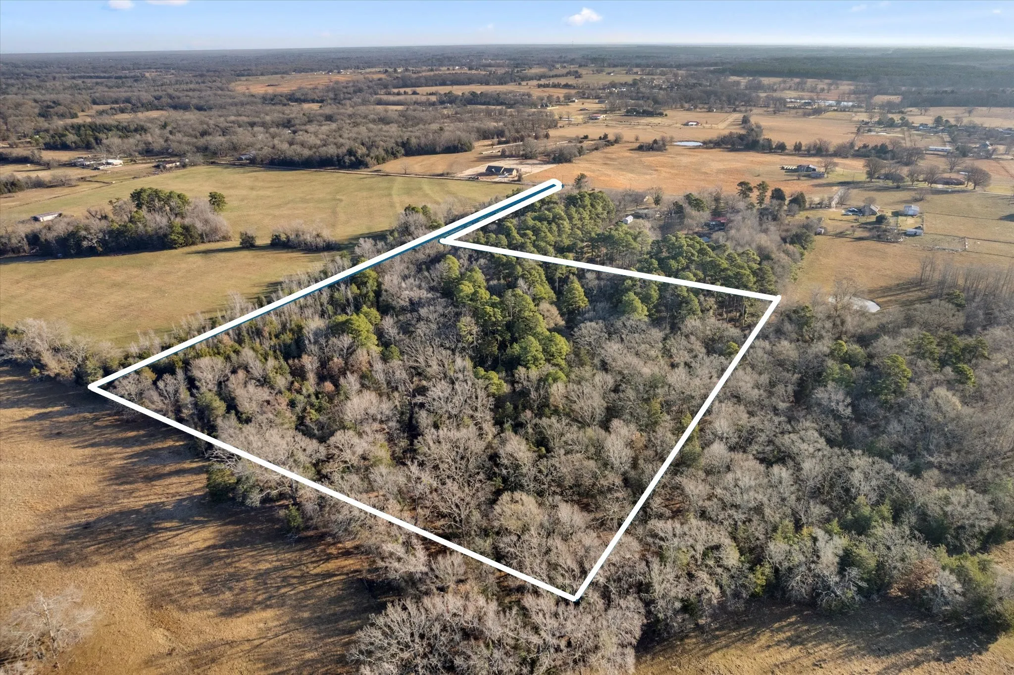 Unimproved Land For Sale in Titus County , TBD CR 1240, Mt Pleasant, Texas 75455, 0, 0, Garage spaces, 0 Sqft, built in 0, Price $120,000, mls#21366436, Real Estate Agent in Mt Pleasant, Homes For Sale in Titus county, Homes For Sale in Mt Pleasant, Realtor in Mt Pleasant Texas, Real Estate Brokerage Independent Realty Texas, Luminita Cordes Realtor