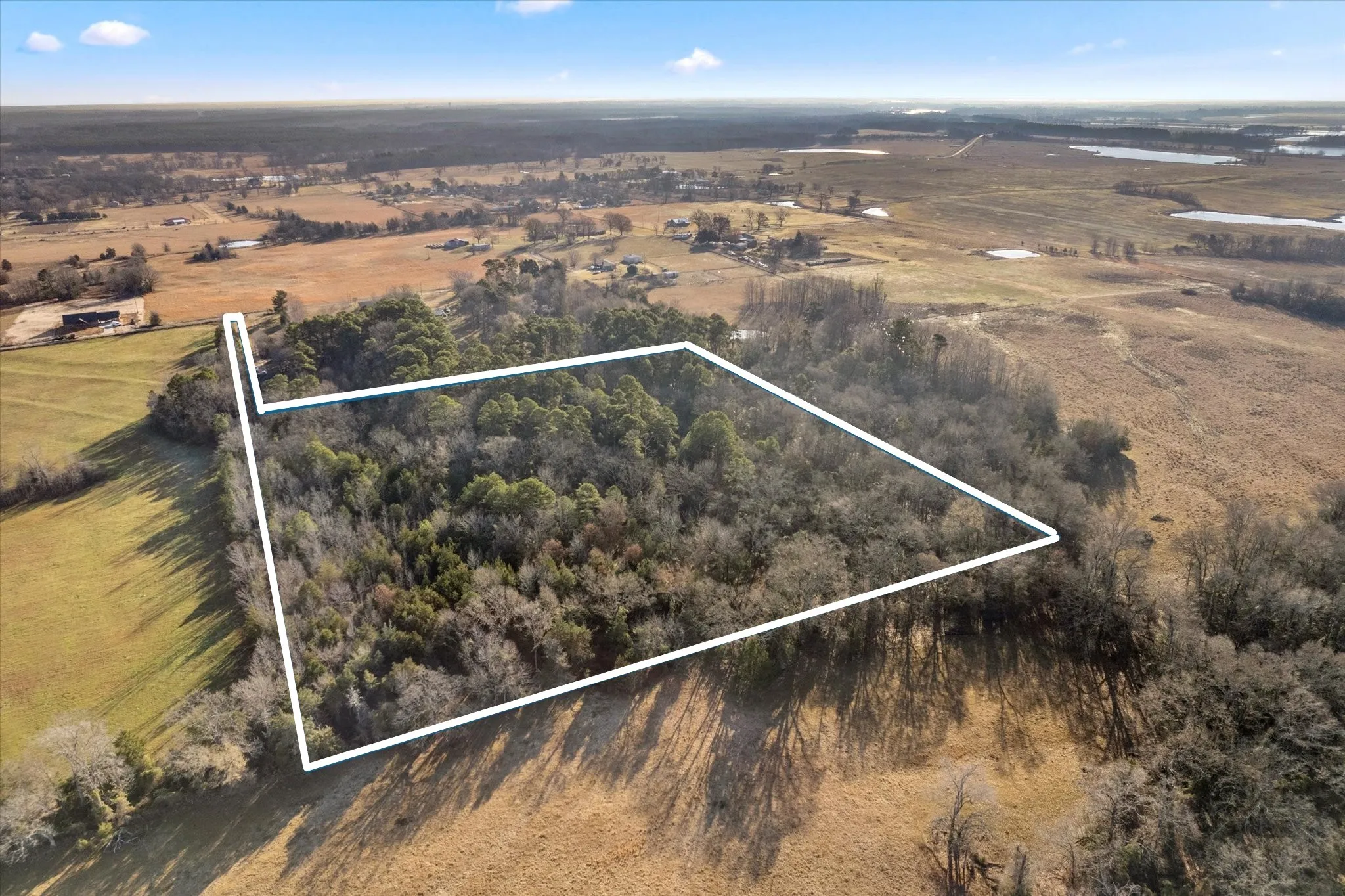 Unimproved Land For Sale in Titus County , TBD CR 1240, Mt Pleasant, Texas 75455, 0, 0, Garage spaces, 0 Sqft, built in 0, Price $120,000, mls#21366436, Real Estate Agent in Mt Pleasant, Homes For Sale in Titus county, Homes For Sale in Mt Pleasant, Realtor in Mt Pleasant Texas, Real Estate Brokerage Independent Realty Texas, Luminita Cordes Realtor