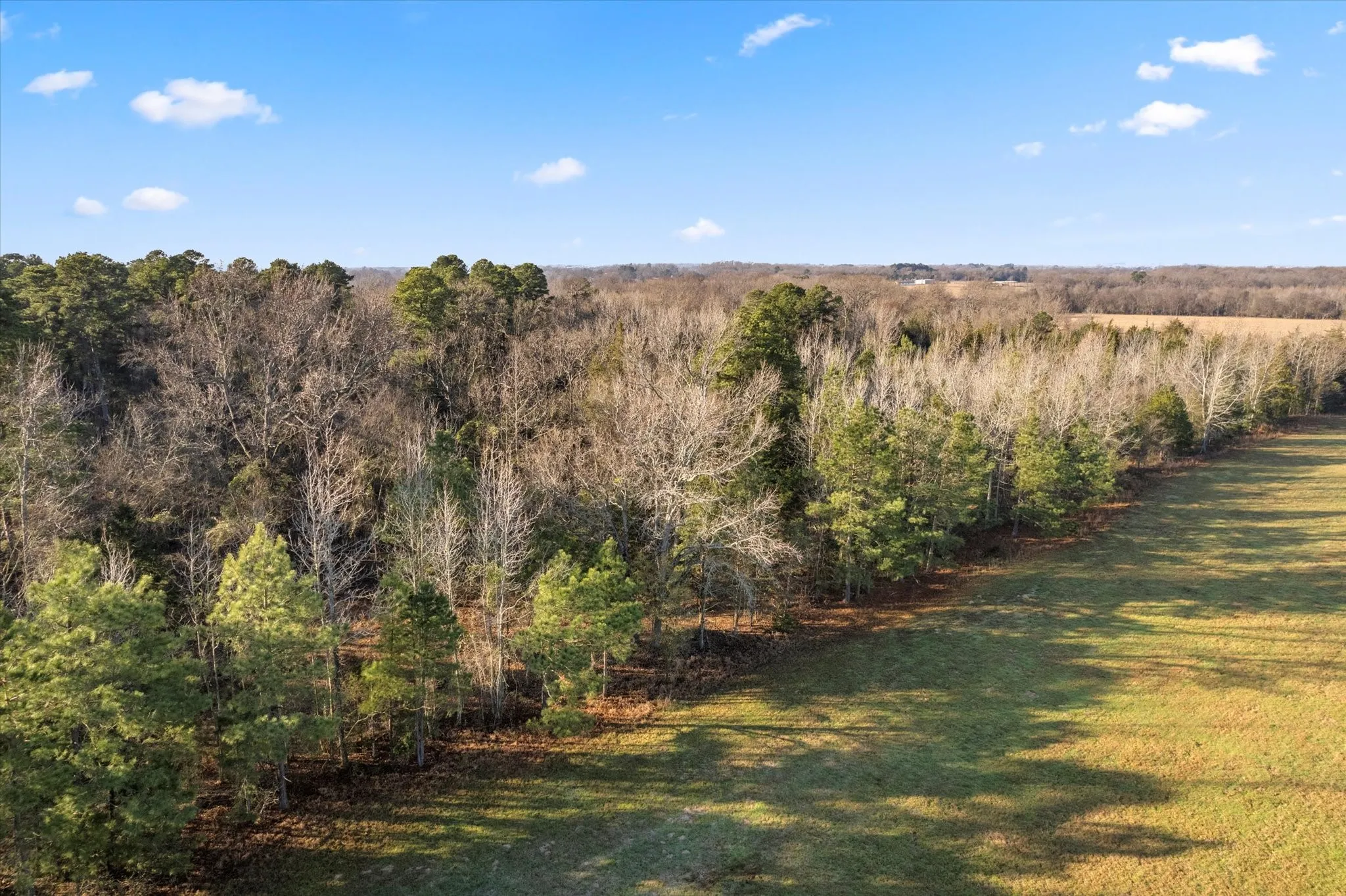 Unimproved Land For Sale in Titus County , TBD CR 1240, Mt Pleasant, Texas 75455, 0, 0, Garage spaces, 0 Sqft, built in 0, Price $120,000, mls#21366436, Real Estate Agent in Mt Pleasant, Homes For Sale in Titus county, Homes For Sale in Mt Pleasant, Realtor in Mt Pleasant Texas, Real Estate Brokerage Independent Realty Texas, Luminita Cordes Realtor