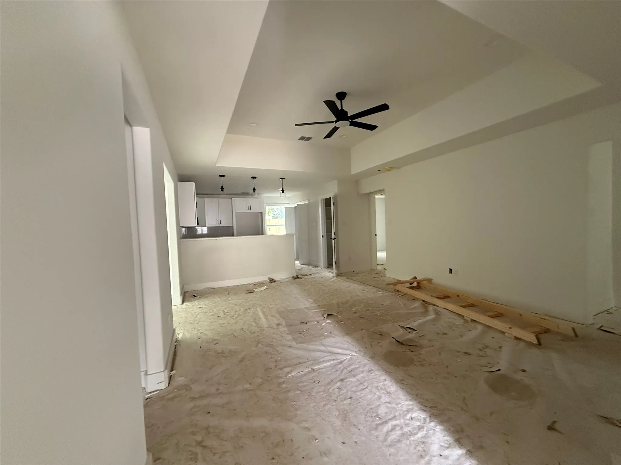 Tray ceiling with a matte black ceiling fan
