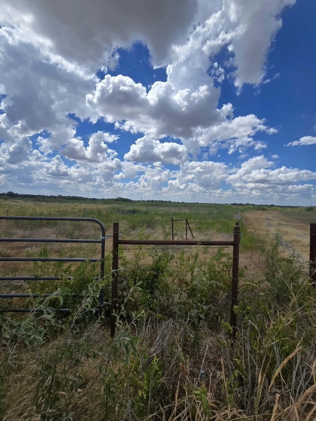 Unimproved Land For Sale in Navarro County , TBD NW County Rd 1300, Barry, Texas 75102, 0, 0, Garage spaces, 0 Sqft, built in 0, mls#21368441, Real Estate Agent in Barry, Homes For Sale in Navarro county, Homes For Sale in Barry, Realtor in Barry Texas, Real Estate Brokerage Independent Realty Texas, Luminita Cordes Realtor