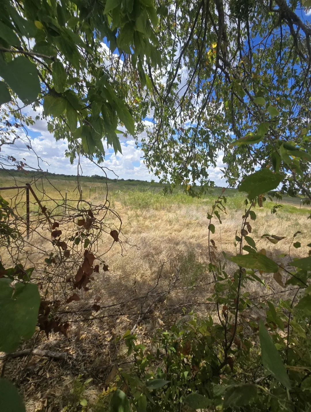 Unimproved Land For Sale in Navarro County , TBD NW County Rd 1300, Barry, Texas 75102, 0, 0, Garage spaces, 0 Sqft, built in 0, mls#21368441, Real Estate Agent in Barry, Homes For Sale in Navarro county, Homes For Sale in Barry, Realtor in Barry Texas, Real Estate Brokerage Independent Realty Texas, Luminita Cordes Realtor