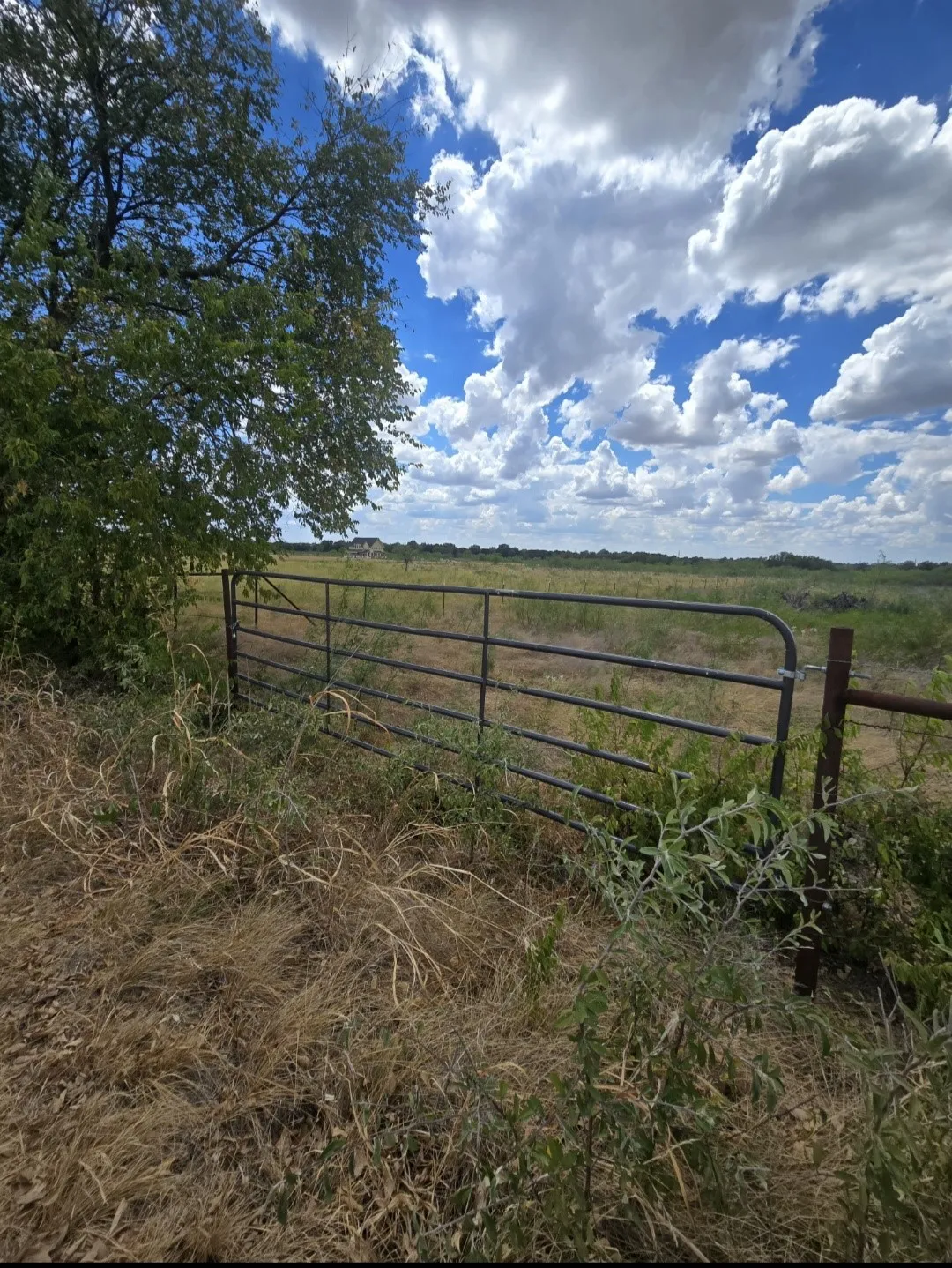 Unimproved Land For Sale in Navarro County , TBD NW County Rd 1300, Barry, Texas 75102, 0, 0, Garage spaces, 0 Sqft, built in 0, mls#21368441, Real Estate Agent in Barry, Homes For Sale in Navarro county, Homes For Sale in Barry, Realtor in Barry Texas, Real Estate Brokerage Independent Realty Texas, Luminita Cordes Realtor