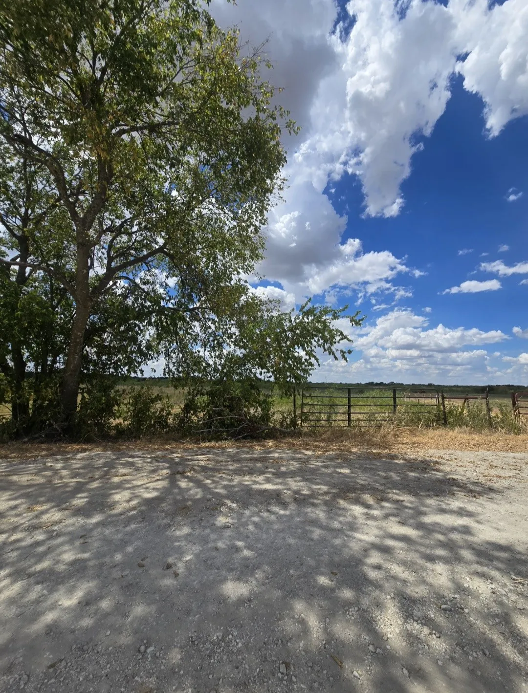 Unimproved Land For Sale in Navarro County , TBD NW County Rd 1300, Barry, Texas 75102, 0, 0, Garage spaces, 0 Sqft, built in 0, mls#21368441, Real Estate Agent in Barry, Homes For Sale in Navarro county, Homes For Sale in Barry, Realtor in Barry Texas, Real Estate Brokerage Independent Realty Texas, Luminita Cordes Realtor