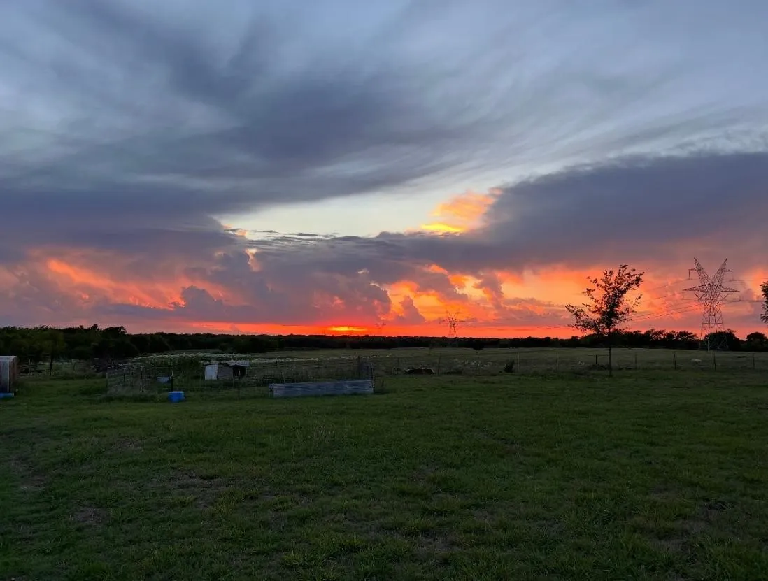 Unimproved Land For Sale in Hunt County , TBD Fm 118, Greenville, Texas 75401, 0, 0, Garage spaces, 0 Sqft, built in 0, mls#21359534, Real Estate Agent in Greenville, Homes For Sale in Hunt county, Homes For Sale in Greenville, Realtor in Greenville Texas, Real Estate Brokerage Independent Realty Texas, Luminita Cordes Realtor