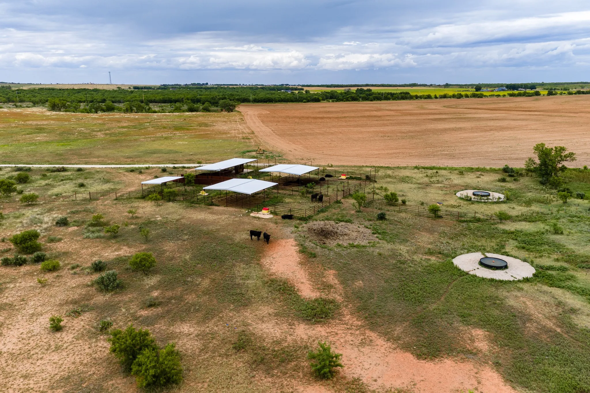 Unimproved Land For Sale in Jones County , TBD CR 473, Anson, Texas 79501, 0, 0, Garage spaces, 0 Sqft, built in 1900, Price $188,025, mls#21368438, Real Estate Agent in Anson, Homes For Sale in Jones county, Homes For Sale in Anson, Realtor in Anson Texas, Real Estate Brokerage Independent Realty Texas, Luminita Cordes Realtor