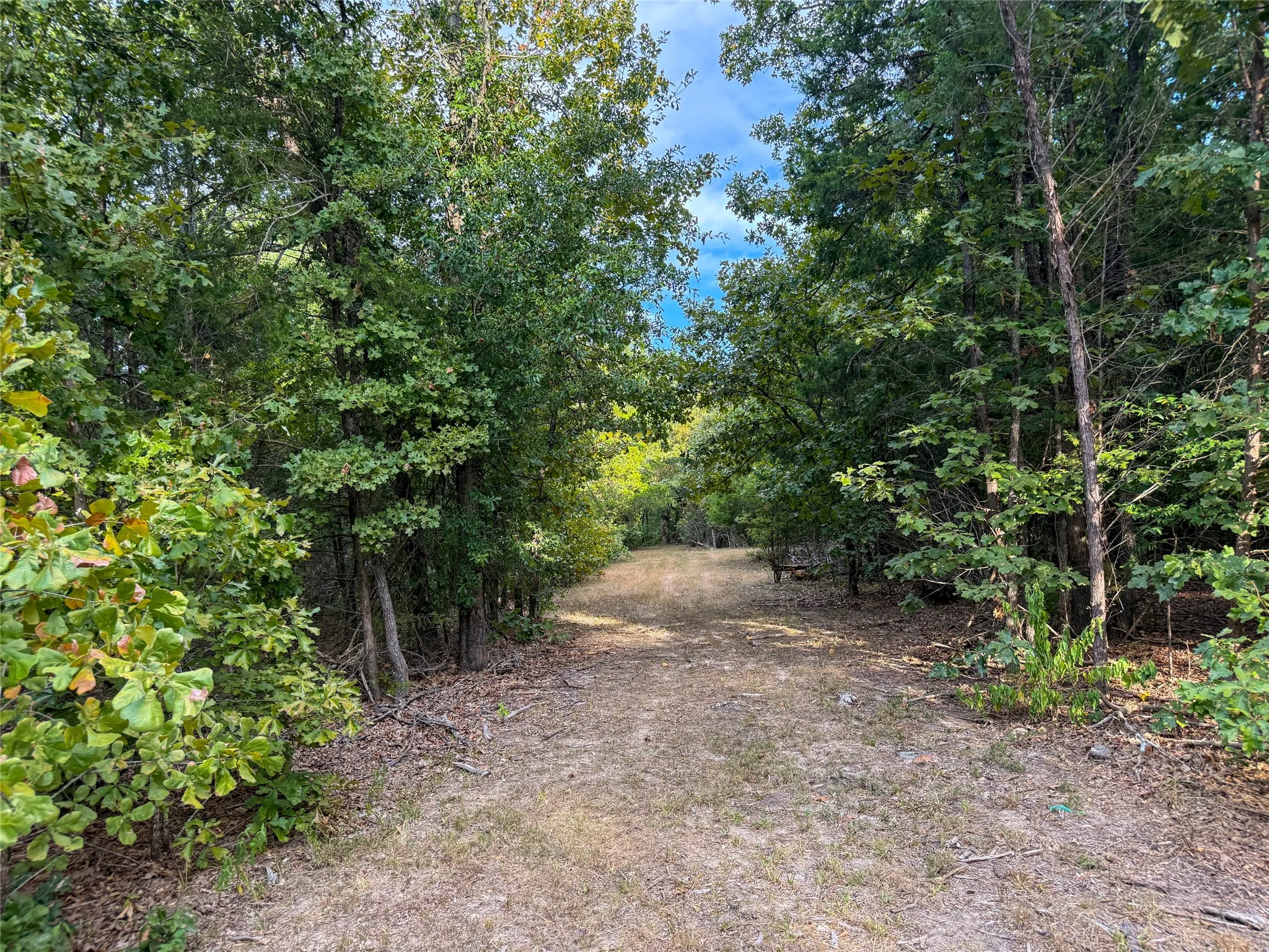 Unimproved Land For Sale in Lamar County , TBD Farm to Market 197, Arthur City, Texas 75411, 0, 0, Garage spaces, 0 Sqft, built in 0, mls#21368472, Real Estate Agent in Arthur City, Homes For Sale in Lamar county, Homes For Sale in Arthur City, Realtor in Arthur City Texas, Real Estate Brokerage Independent Realty Texas, Luminita Cordes Realtor