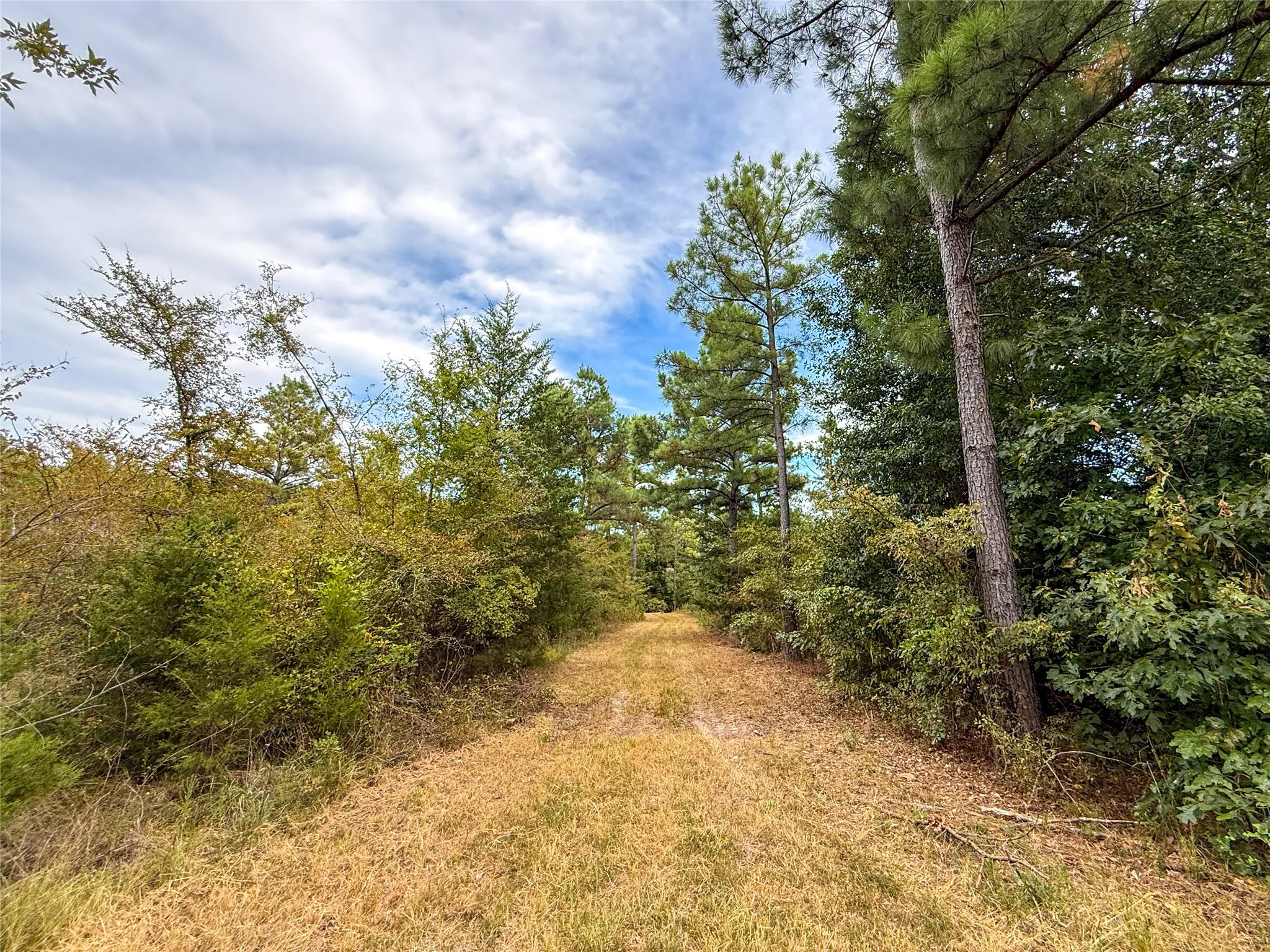 Unimproved Land For Sale in Lamar County , TBD Farm to Market 197, Arthur City, Texas 75411, 0, 0, Garage spaces, 0 Sqft, built in 0, mls#21368472, Real Estate Agent in Arthur City, Homes For Sale in Lamar county, Homes For Sale in Arthur City, Realtor in Arthur City Texas, Real Estate Brokerage Independent Realty Texas, Luminita Cordes Realtor