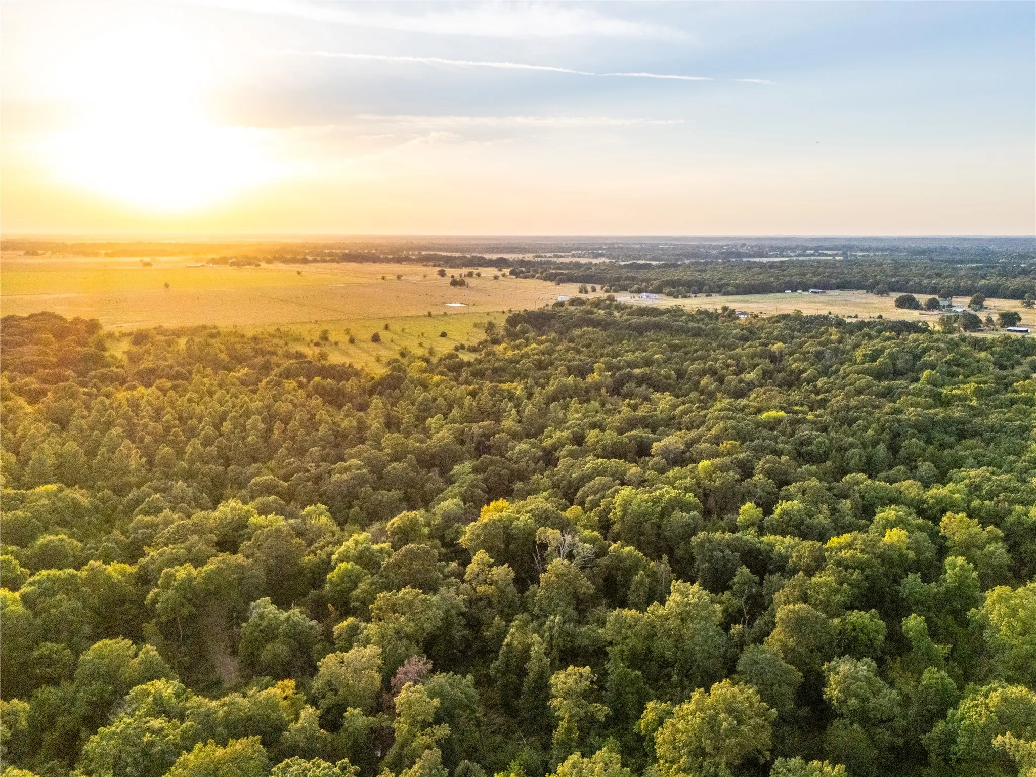 Unimproved Land For Sale in Lamar County , TBD Farm to Market 197, Arthur City, Texas 75411, 0, 0, Garage spaces, 0 Sqft, built in 0, mls#21368472, Real Estate Agent in Arthur City, Homes For Sale in Lamar county, Homes For Sale in Arthur City, Realtor in Arthur City Texas, Real Estate Brokerage Independent Realty Texas, Luminita Cordes Realtor