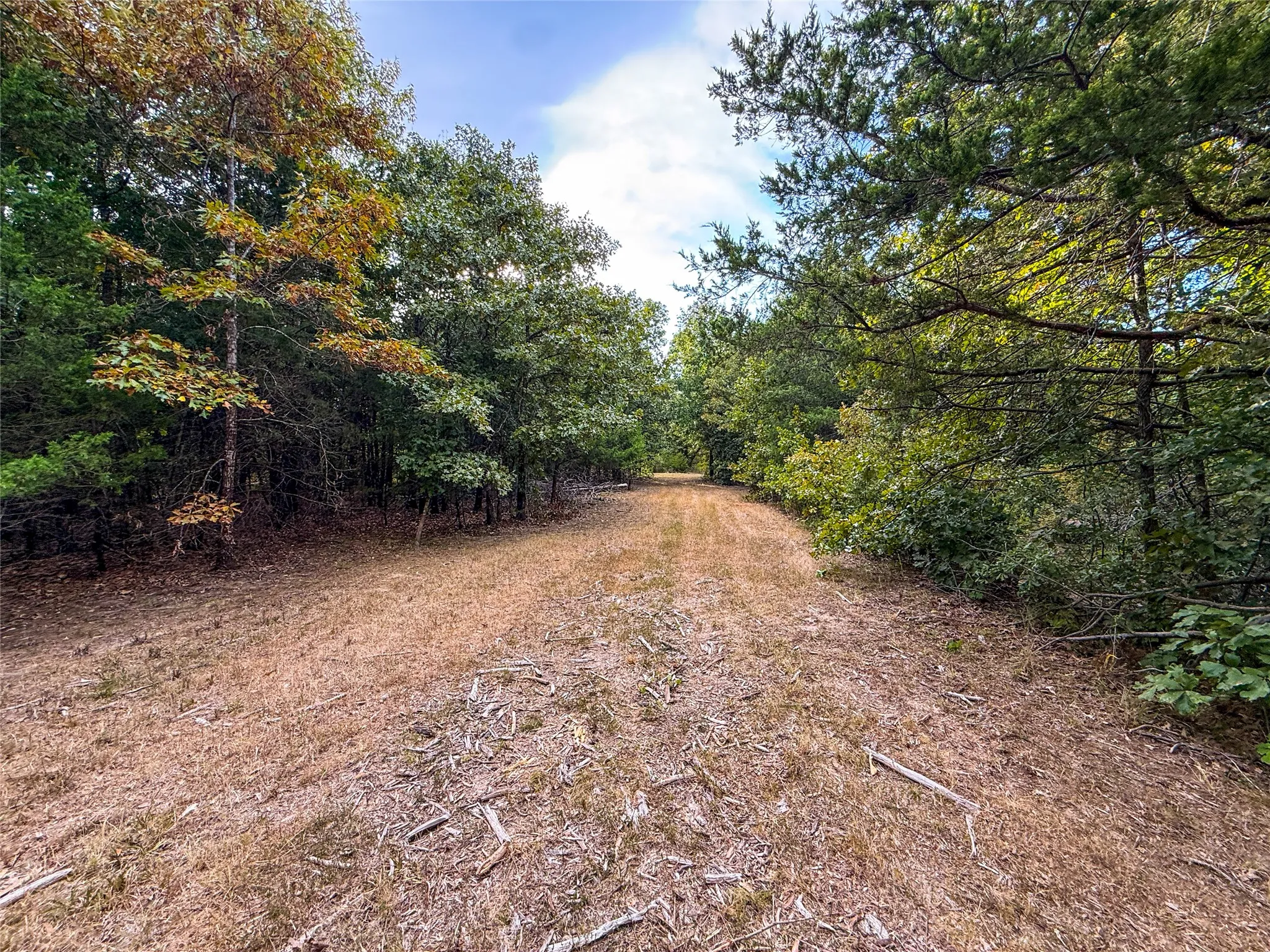 Unimproved Land For Sale in Lamar County , TBD Farm to Market 197, Arthur City, Texas 75411, 0, 0, Garage spaces, 0 Sqft, built in 0, mls#21368472, Real Estate Agent in Arthur City, Homes For Sale in Lamar county, Homes For Sale in Arthur City, Realtor in Arthur City Texas, Real Estate Brokerage Independent Realty Texas, Luminita Cordes Realtor