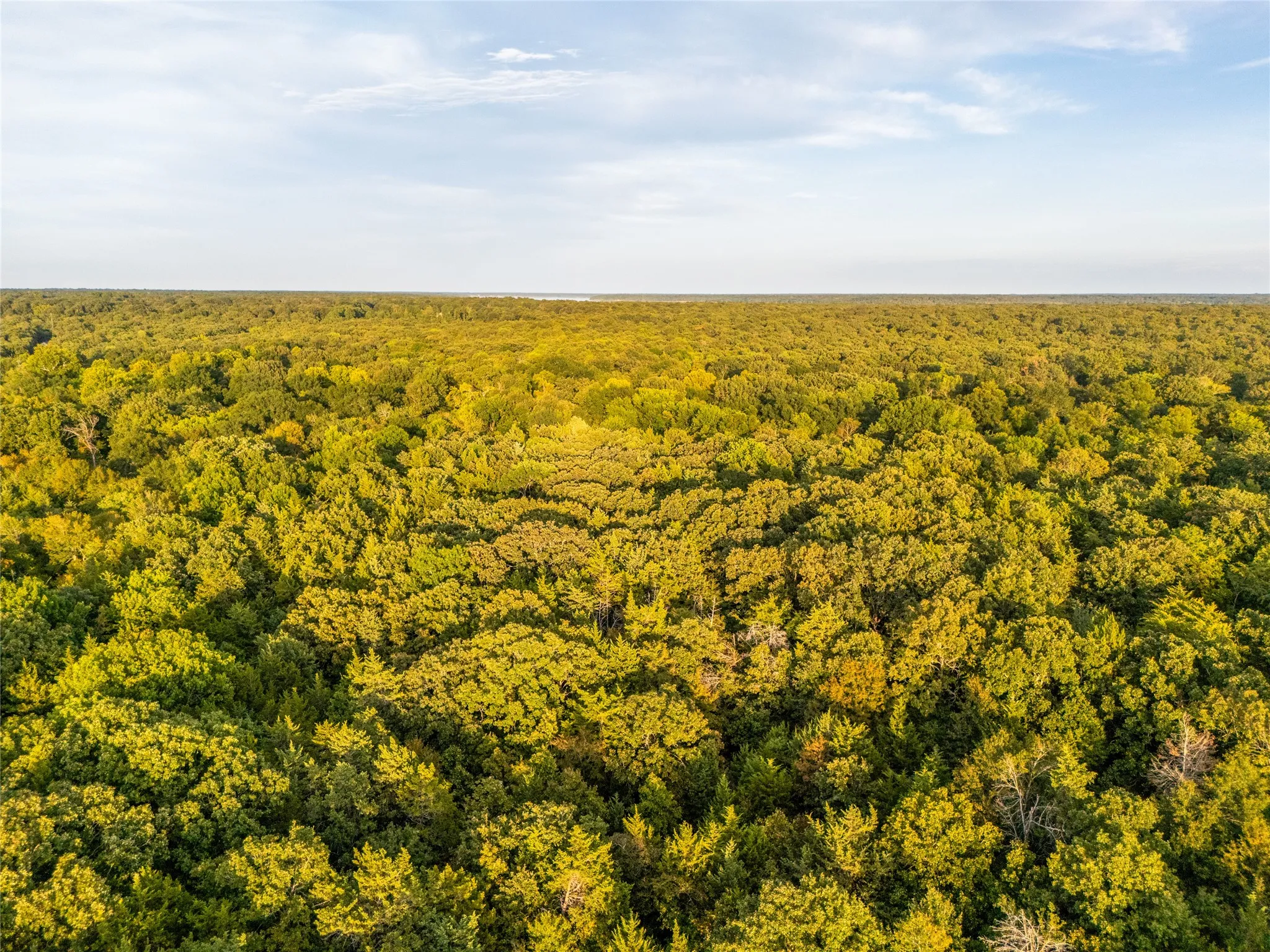 Unimproved Land For Sale in Lamar County , TBD Farm to Market 197, Arthur City, Texas 75411, 0, 0, Garage spaces, 0 Sqft, built in 0, mls#21368472, Real Estate Agent in Arthur City, Homes For Sale in Lamar county, Homes For Sale in Arthur City, Realtor in Arthur City Texas, Real Estate Brokerage Independent Realty Texas, Luminita Cordes Realtor