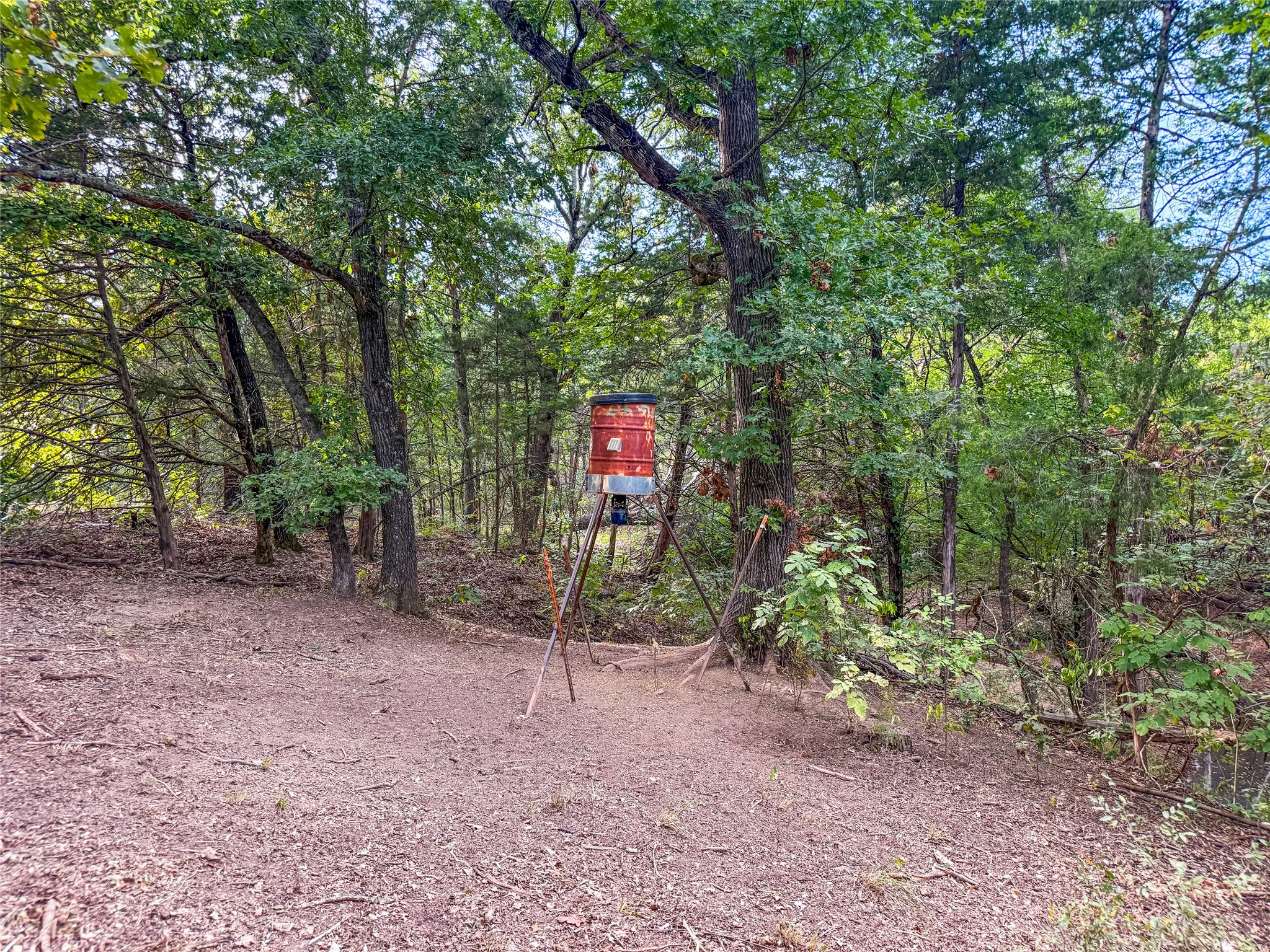 Unimproved Land For Sale in Lamar County , TBD Farm to Market 197, Arthur City, Texas 75411, 0, 0, Garage spaces, 0 Sqft, built in 0, mls#21368472, Real Estate Agent in Arthur City, Homes For Sale in Lamar county, Homes For Sale in Arthur City, Realtor in Arthur City Texas, Real Estate Brokerage Independent Realty Texas, Luminita Cordes Realtor