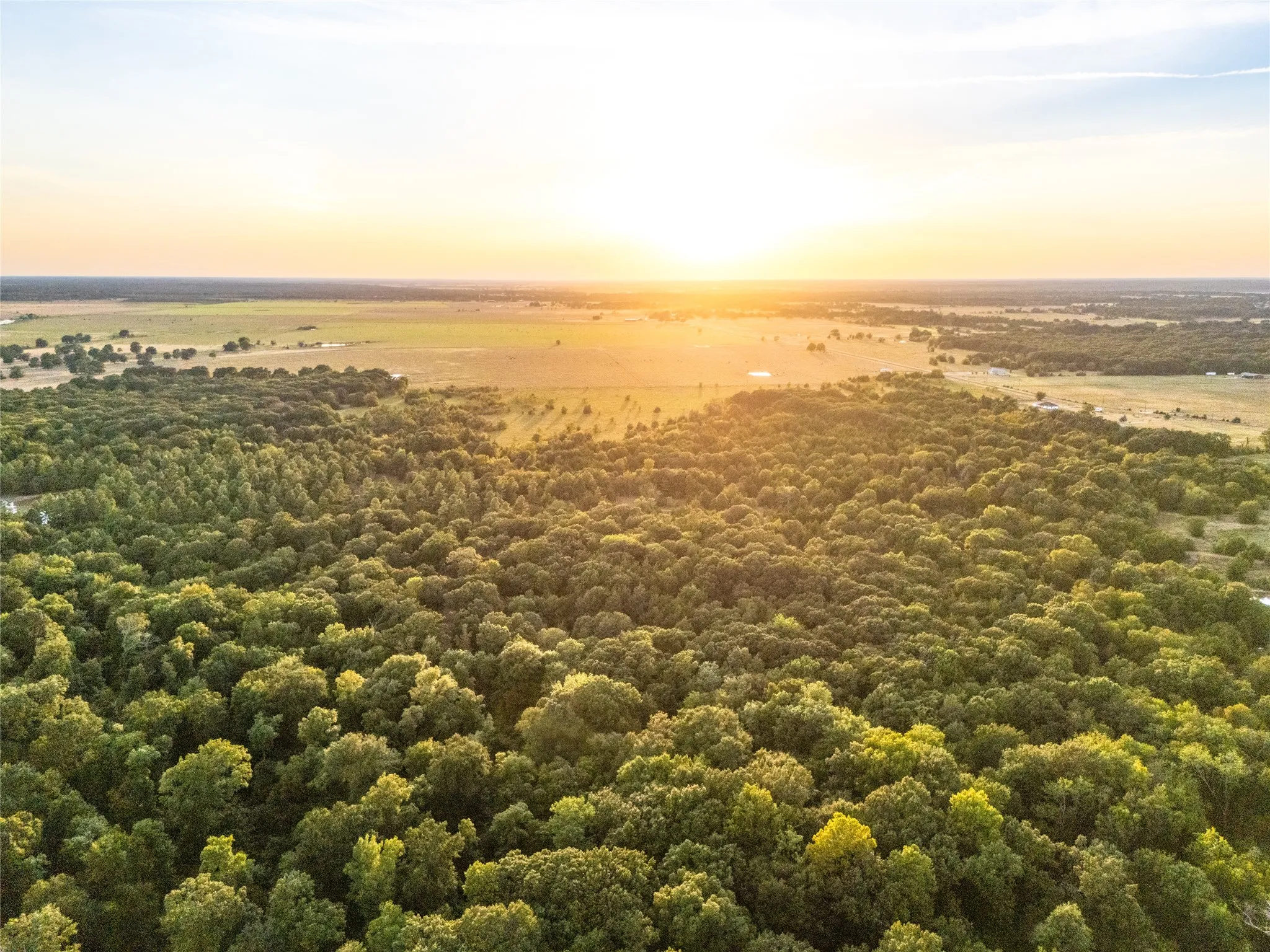Unimproved Land For Sale in Lamar County , TBD Farm to Market 197, Arthur City, Texas 75411, 0, 0, Garage spaces, 0 Sqft, built in 0, mls#21368472, Real Estate Agent in Arthur City, Homes For Sale in Lamar county, Homes For Sale in Arthur City, Realtor in Arthur City Texas, Real Estate Brokerage Independent Realty Texas, Luminita Cordes Realtor