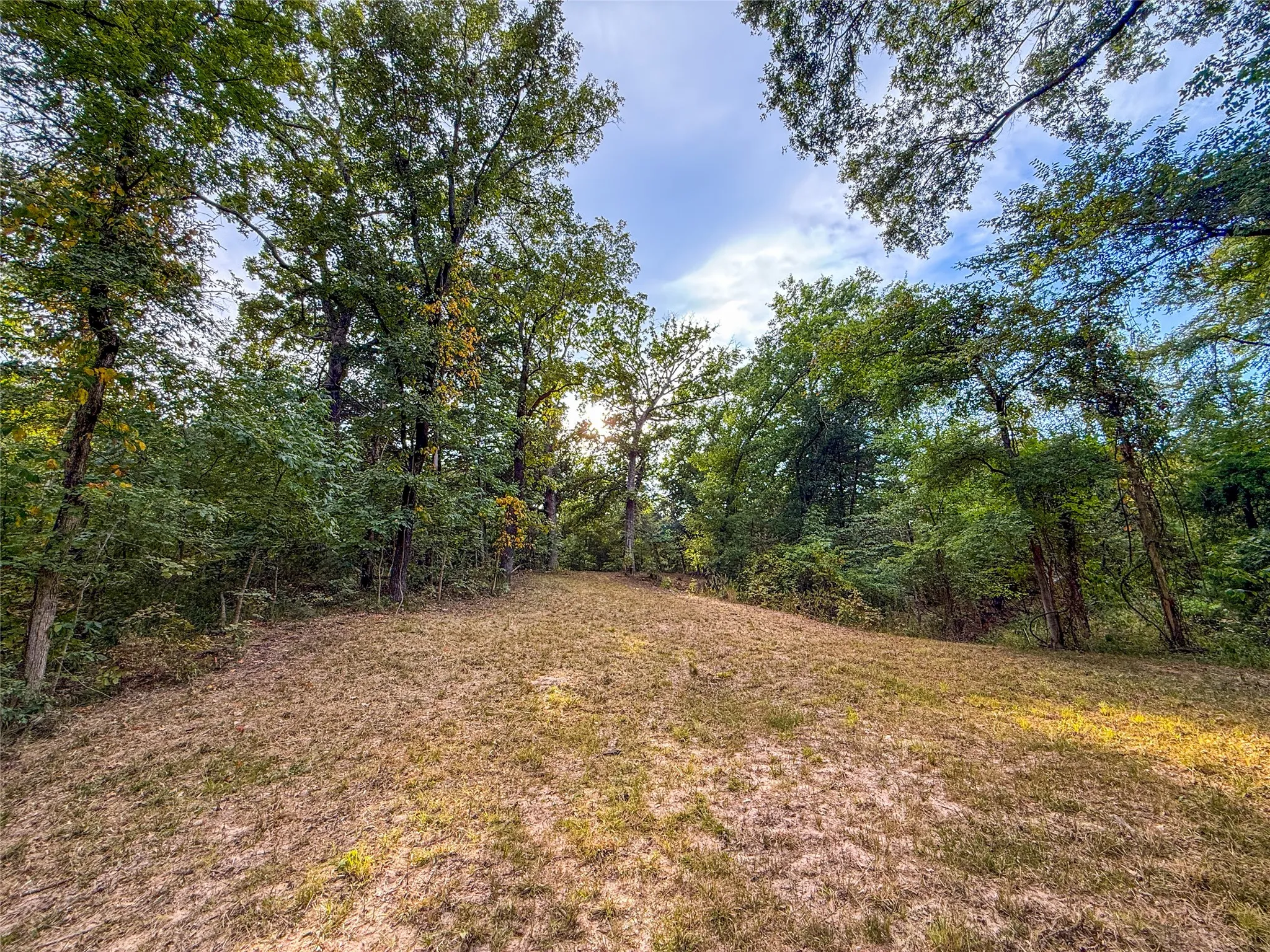 Unimproved Land For Sale in Lamar County , TBD Farm to Market 197, Arthur City, Texas 75411, 0, 0, Garage spaces, 0 Sqft, built in 0, mls#21368472, Real Estate Agent in Arthur City, Homes For Sale in Lamar county, Homes For Sale in Arthur City, Realtor in Arthur City Texas, Real Estate Brokerage Independent Realty Texas, Luminita Cordes Realtor