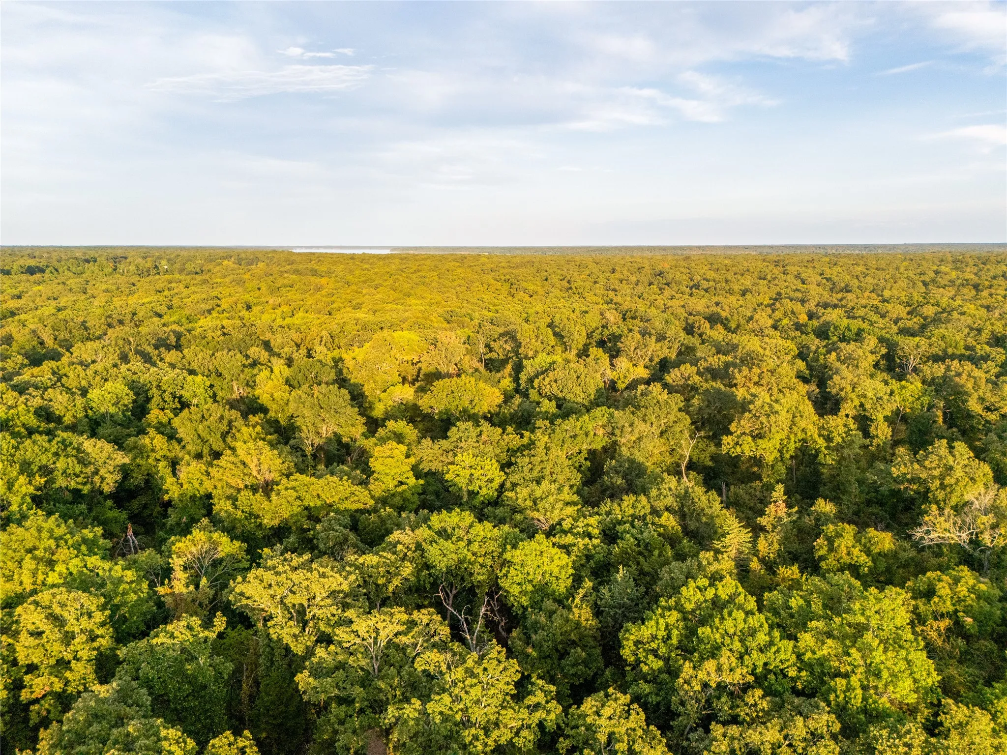Unimproved Land For Sale in Lamar County , TBD Farm to Market 197, Arthur City, Texas 75411, 0, 0, Garage spaces, 0 Sqft, built in 0, mls#21368472, Real Estate Agent in Arthur City, Homes For Sale in Lamar county, Homes For Sale in Arthur City, Realtor in Arthur City Texas, Real Estate Brokerage Independent Realty Texas, Luminita Cordes Realtor