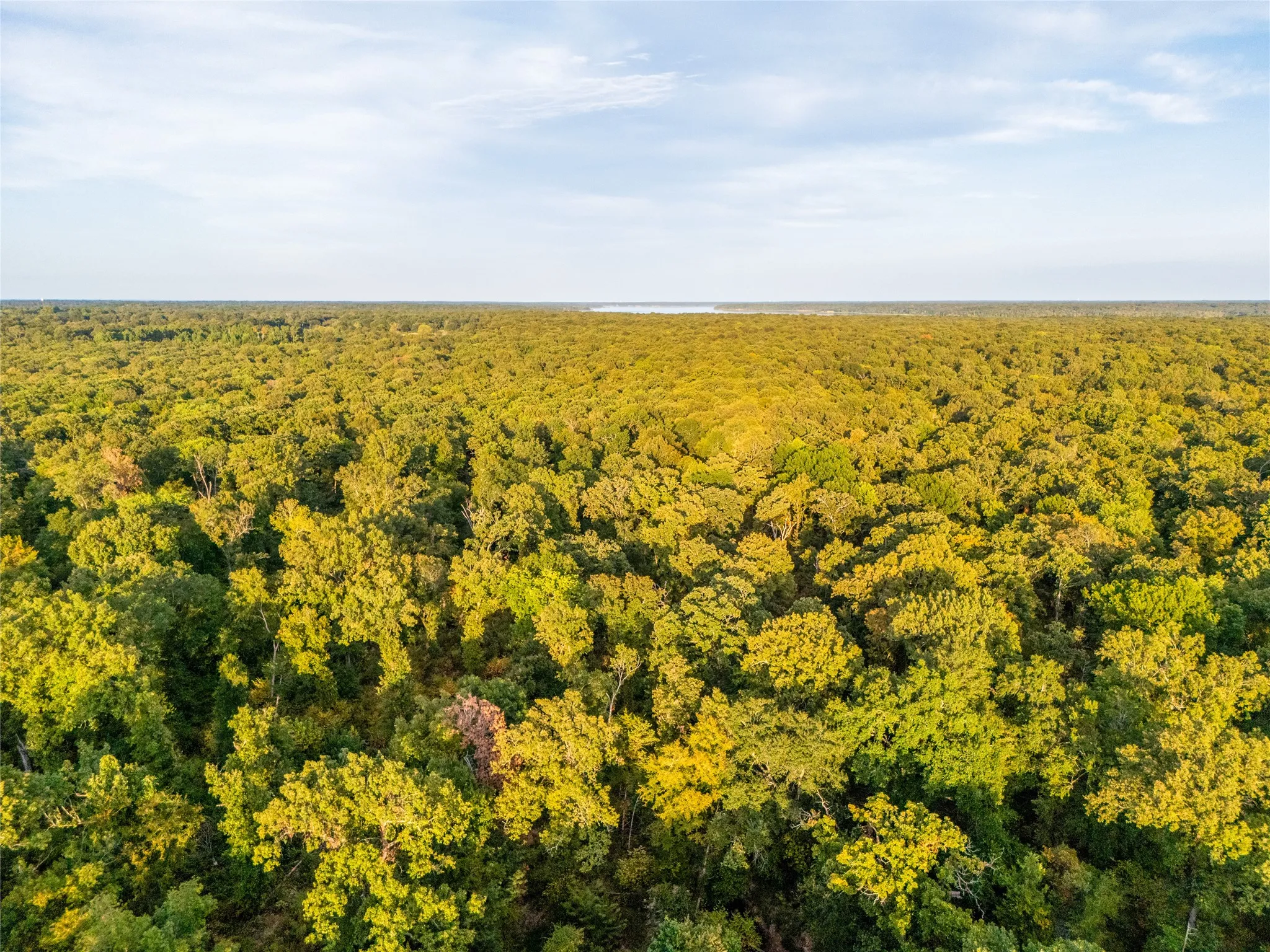 Unimproved Land For Sale in Lamar County , TBD Farm to Market 197, Arthur City, Texas 75411, 0, 0, Garage spaces, 0 Sqft, built in 0, mls#21368472, Real Estate Agent in Arthur City, Homes For Sale in Lamar county, Homes For Sale in Arthur City, Realtor in Arthur City Texas, Real Estate Brokerage Independent Realty Texas, Luminita Cordes Realtor