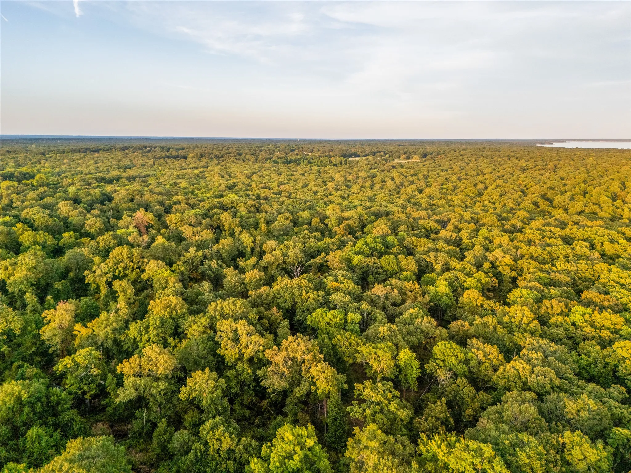 Unimproved Land For Sale in Lamar County , TBD Farm to Market 197, Arthur City, Texas 75411, 0, 0, Garage spaces, 0 Sqft, built in 0, mls#21368472, Real Estate Agent in Arthur City, Homes For Sale in Lamar county, Homes For Sale in Arthur City, Realtor in Arthur City Texas, Real Estate Brokerage Independent Realty Texas, Luminita Cordes Realtor