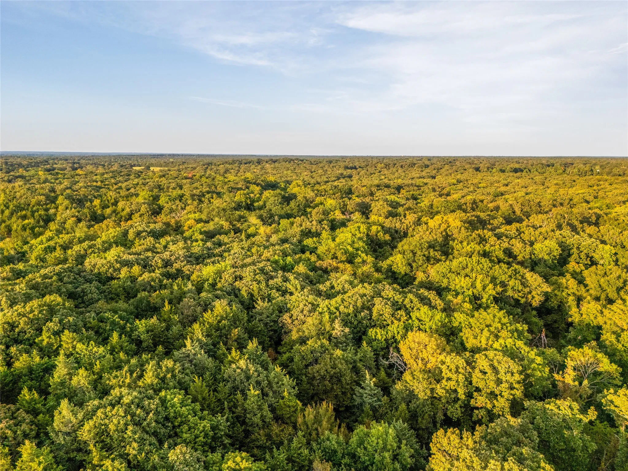 Unimproved Land For Sale in Lamar County , TBD Farm to Market 197, Arthur City, Texas 75411, 0, 0, Garage spaces, 0 Sqft, built in 0, mls#21368472, Real Estate Agent in Arthur City, Homes For Sale in Lamar county, Homes For Sale in Arthur City, Realtor in Arthur City Texas, Real Estate Brokerage Independent Realty Texas, Luminita Cordes Realtor