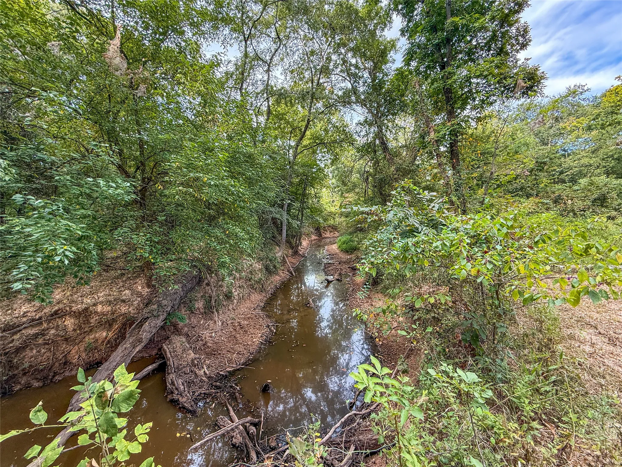 Unimproved Land For Sale in Lamar County , TBD Farm to Market 197, Arthur City, Texas 75411, 0, 0, Garage spaces, 0 Sqft, built in 0, mls#21368472, Real Estate Agent in Arthur City, Homes For Sale in Lamar county, Homes For Sale in Arthur City, Realtor in Arthur City Texas, Real Estate Brokerage Independent Realty Texas, Luminita Cordes Realtor