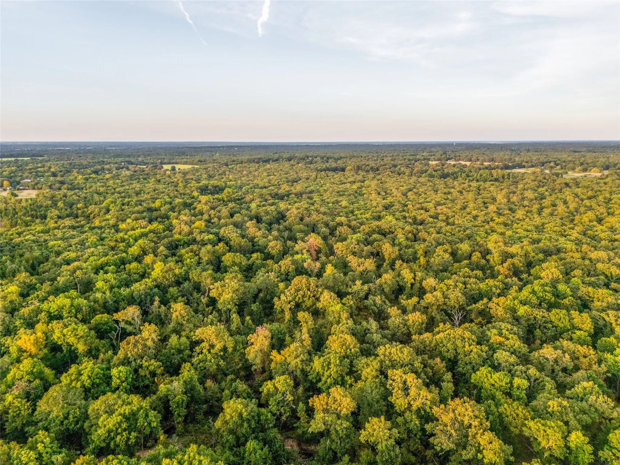 Unimproved Land For Sale in Lamar County , TBD Farm to Market 197, Arthur City, Texas 75411, 0, 0, Garage spaces, 0 Sqft, built in 0, mls#21368472, Real Estate Agent in Arthur City, Homes For Sale in Lamar county, Homes For Sale in Arthur City, Realtor in Arthur City Texas, Real Estate Brokerage Independent Realty Texas, Luminita Cordes Realtor