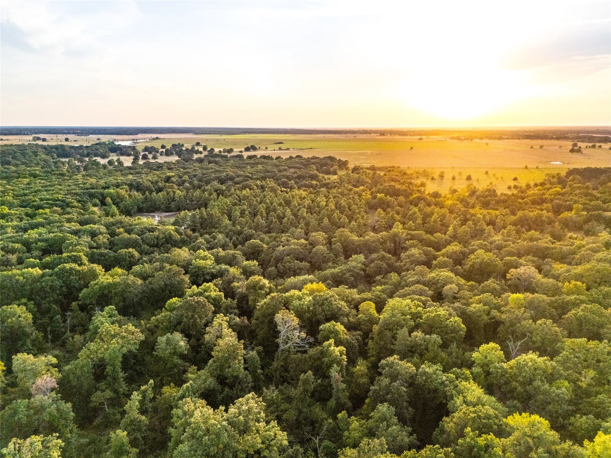 Unimproved Land For Sale in Lamar County , TBD Farm to Market 197, Arthur City, Texas 75411, 0, 0, Garage spaces, 0 Sqft, built in 0, mls#21368472, Real Estate Agent in Arthur City, Homes For Sale in Lamar county, Homes For Sale in Arthur City, Realtor in Arthur City Texas, Real Estate Brokerage Independent Realty Texas, Luminita Cordes Realtor