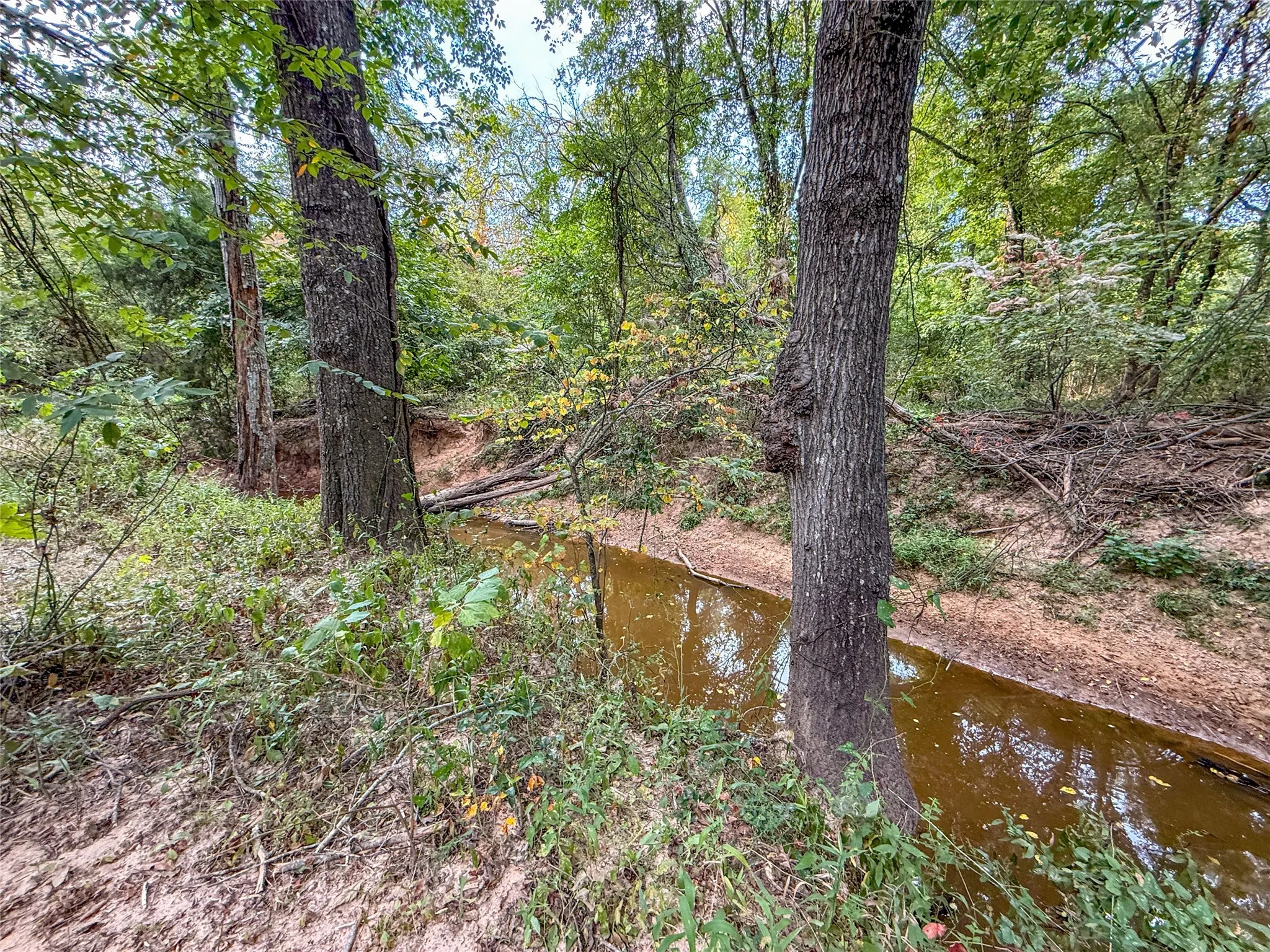 Unimproved Land For Sale in Lamar County , TBD Farm to Market 197, Arthur City, Texas 75411, 0, 0, Garage spaces, 0 Sqft, built in 0, mls#21368472, Real Estate Agent in Arthur City, Homes For Sale in Lamar county, Homes For Sale in Arthur City, Realtor in Arthur City Texas, Real Estate Brokerage Independent Realty Texas, Luminita Cordes Realtor