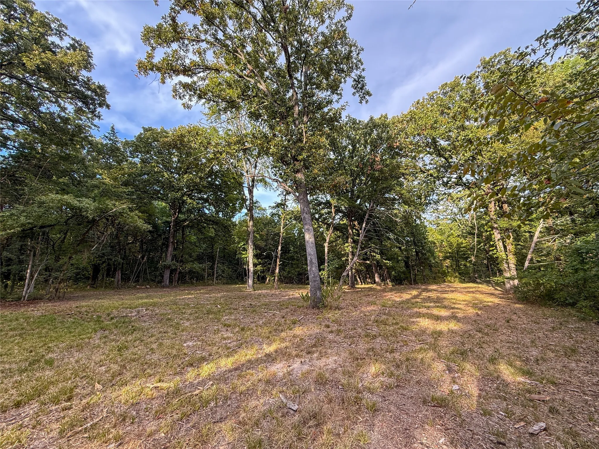 Unimproved Land For Sale in Lamar County , TBD Farm to Market 197, Arthur City, Texas 75411, 0, 0, Garage spaces, 0 Sqft, built in 0, mls#21368472, Real Estate Agent in Arthur City, Homes For Sale in Lamar county, Homes For Sale in Arthur City, Realtor in Arthur City Texas, Real Estate Brokerage Independent Realty Texas, Luminita Cordes Realtor