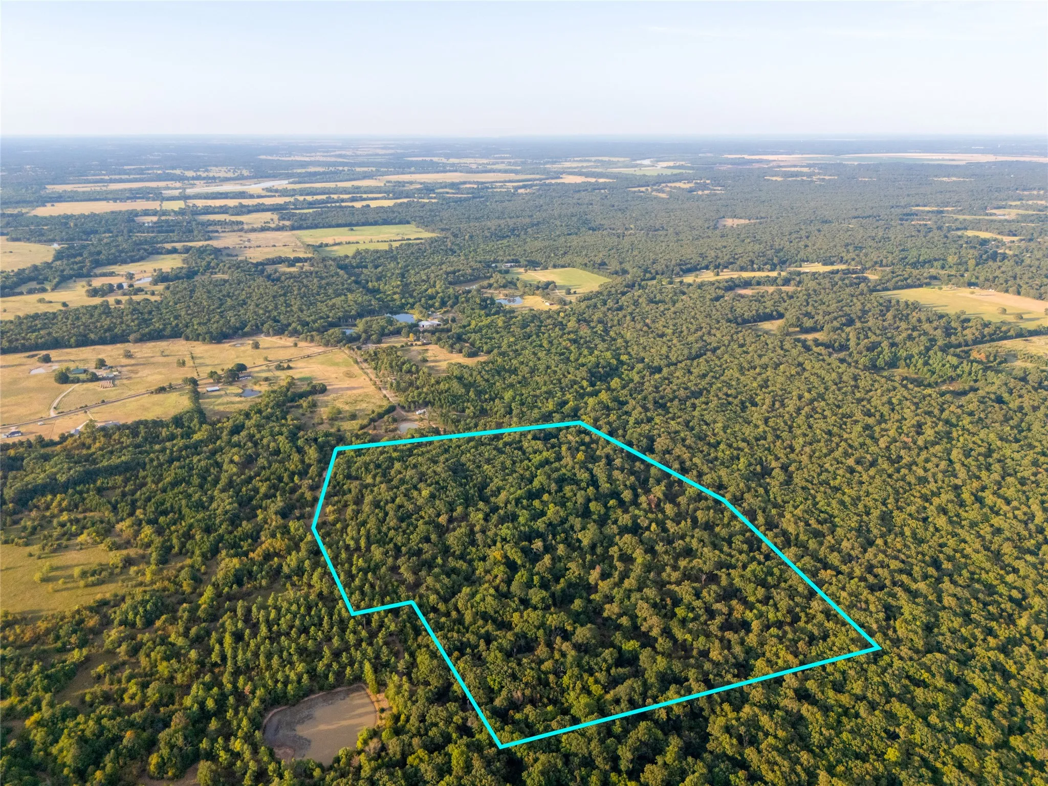 Unimproved Land For Sale in Lamar County , TBD Farm to Market 197, Arthur City, Texas 75411, 0, 0, Garage spaces, 0 Sqft, built in 0, mls#21368472, Real Estate Agent in Arthur City, Homes For Sale in Lamar county, Homes For Sale in Arthur City, Realtor in Arthur City Texas, Real Estate Brokerage Independent Realty Texas, Luminita Cordes Realtor