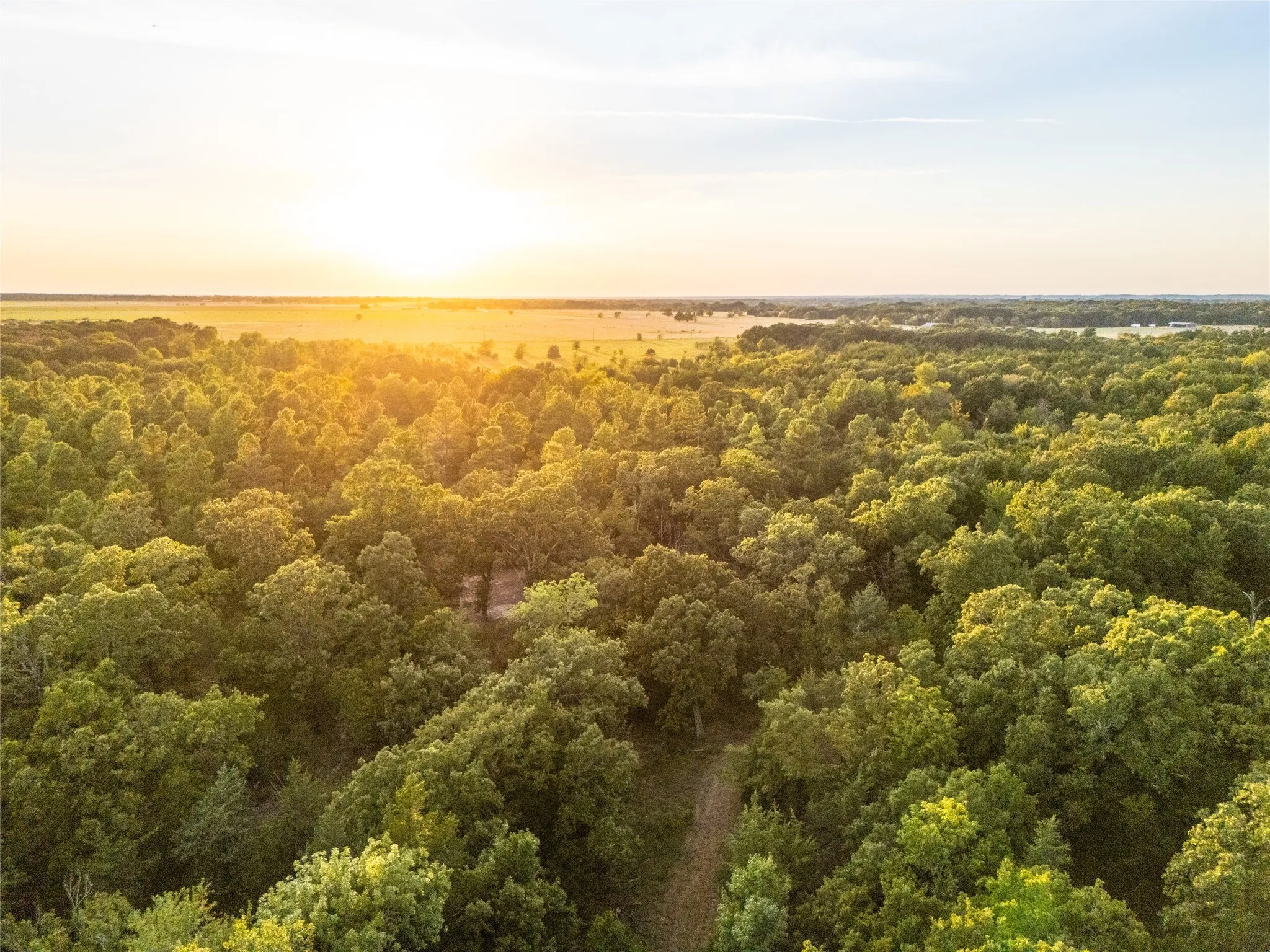Unimproved Land For Sale in Lamar County , TBD Farm to Market 197, Arthur City, Texas 75411, 0, 0, Garage spaces, 0 Sqft, built in 0, mls#21368472, Real Estate Agent in Arthur City, Homes For Sale in Lamar county, Homes For Sale in Arthur City, Realtor in Arthur City Texas, Real Estate Brokerage Independent Realty Texas, Luminita Cordes Realtor