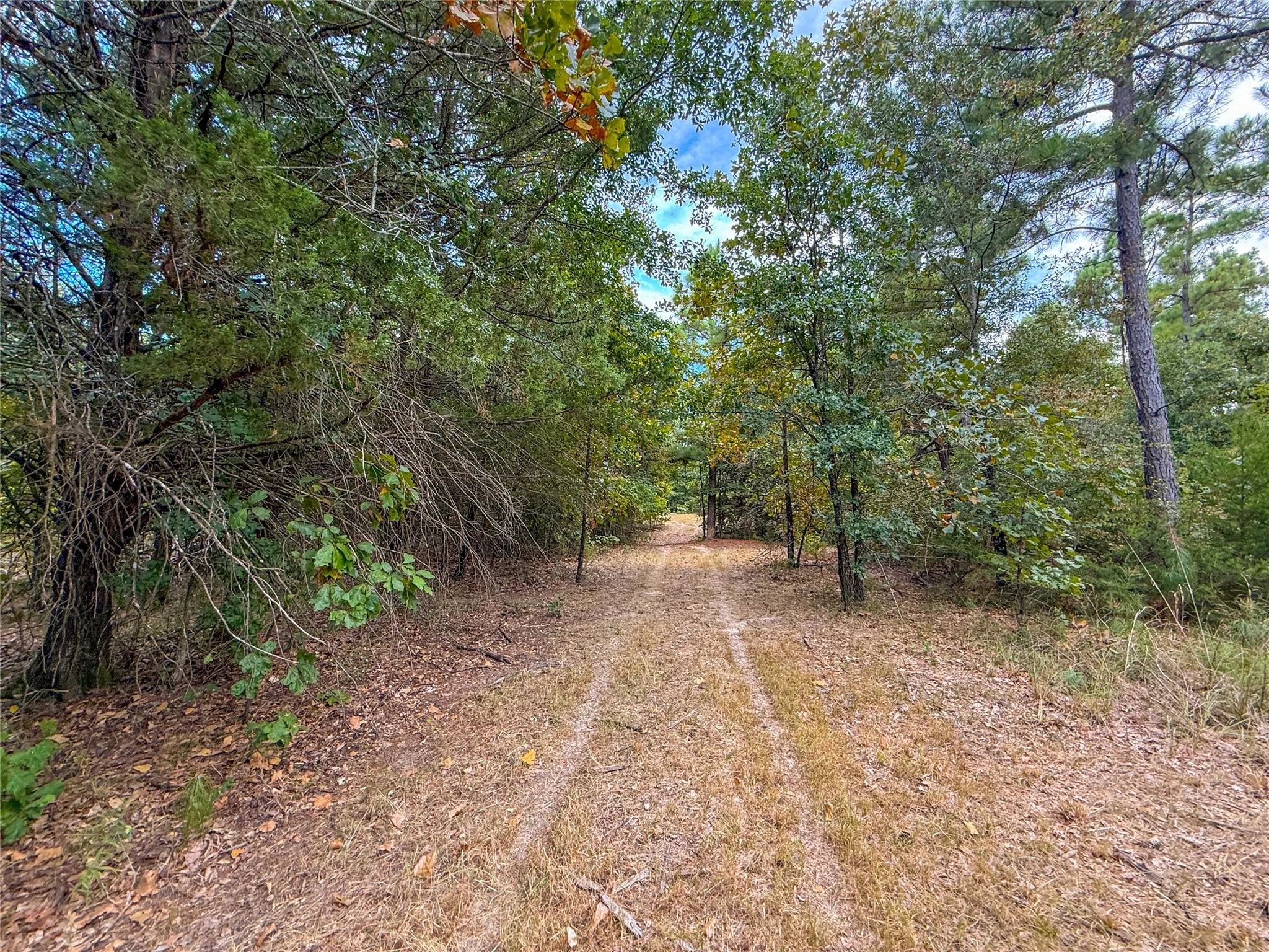 Unimproved Land For Sale in Lamar County , TBD Farm to Market 197, Arthur City, Texas 75411, 0, 0, Garage spaces, 0 Sqft, built in 0, mls#21368472, Real Estate Agent in Arthur City, Homes For Sale in Lamar county, Homes For Sale in Arthur City, Realtor in Arthur City Texas, Real Estate Brokerage Independent Realty Texas, Luminita Cordes Realtor