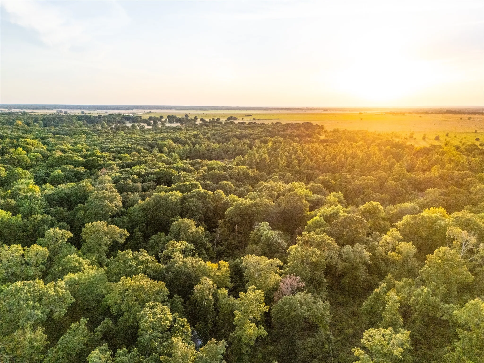 Unimproved Land For Sale in Lamar County , TBD Farm to Market 197, Arthur City, Texas 75411, 0, 0, Garage spaces, 0 Sqft, built in 0, mls#21368472, Real Estate Agent in Arthur City, Homes For Sale in Lamar county, Homes For Sale in Arthur City, Realtor in Arthur City Texas, Real Estate Brokerage Independent Realty Texas, Luminita Cordes Realtor
