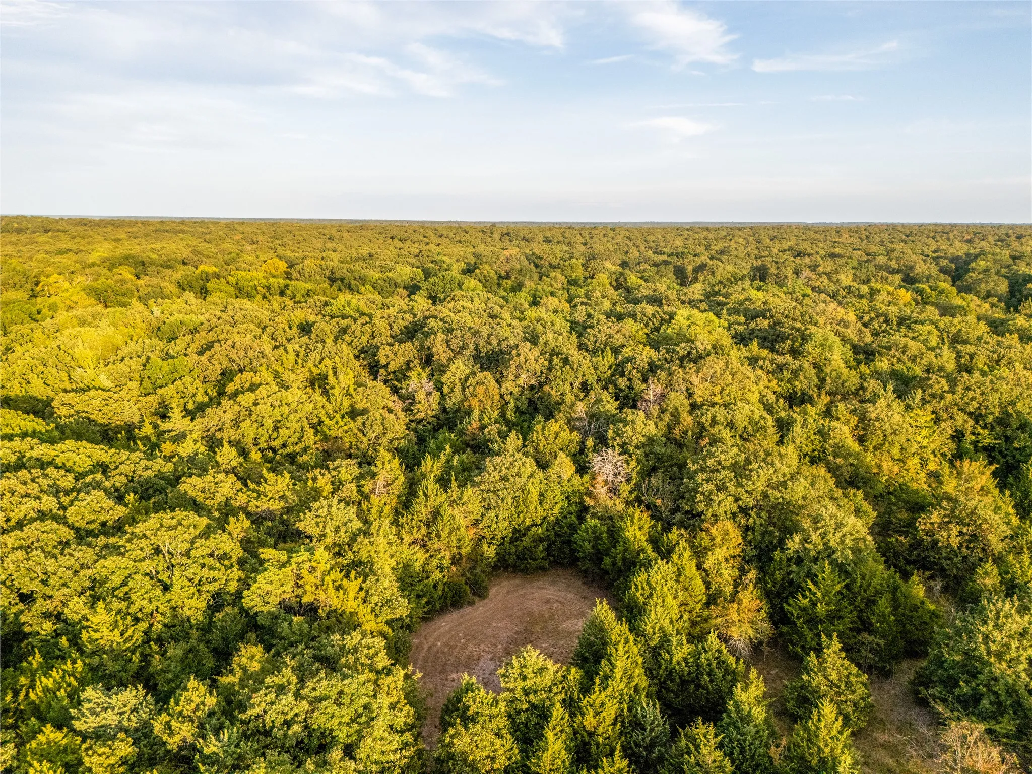 Unimproved Land For Sale in Lamar County , TBD Farm to Market 197, Arthur City, Texas 75411, 0, 0, Garage spaces, 0 Sqft, built in 0, mls#21368472, Real Estate Agent in Arthur City, Homes For Sale in Lamar county, Homes For Sale in Arthur City, Realtor in Arthur City Texas, Real Estate Brokerage Independent Realty Texas, Luminita Cordes Realtor