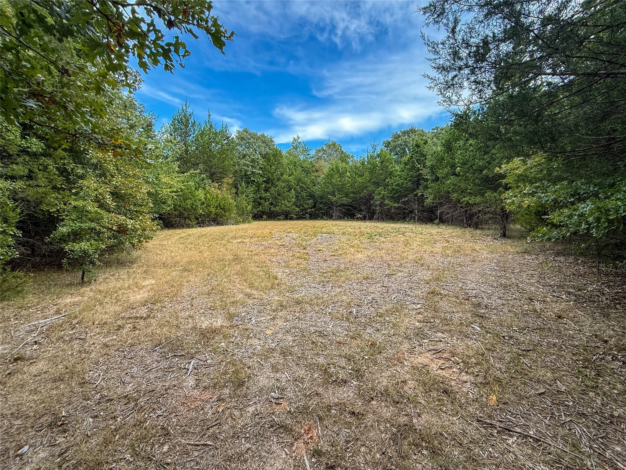 Unimproved Land For Sale in Lamar County , TBD Farm to Market 197, Arthur City, Texas 75411, 0, 0, Garage spaces, 0 Sqft, built in 0, mls#21368472, Real Estate Agent in Arthur City, Homes For Sale in Lamar county, Homes For Sale in Arthur City, Realtor in Arthur City Texas, Real Estate Brokerage Independent Realty Texas, Luminita Cordes Realtor
