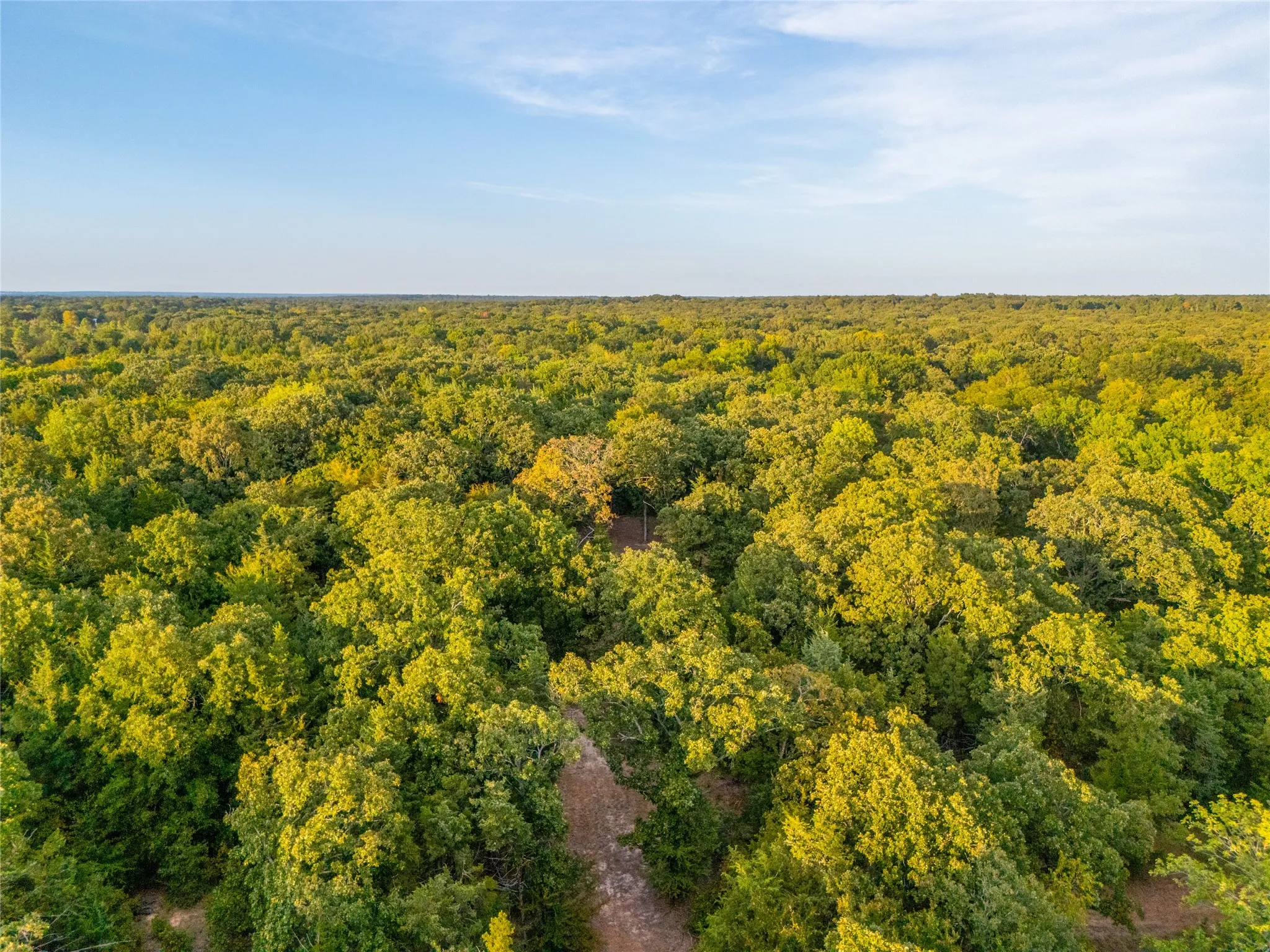 Unimproved Land For Sale in Lamar County , TBD Farm to Market 197, Arthur City, Texas 75411, 0, 0, Garage spaces, 0 Sqft, built in 0, mls#21368472, Real Estate Agent in Arthur City, Homes For Sale in Lamar county, Homes For Sale in Arthur City, Realtor in Arthur City Texas, Real Estate Brokerage Independent Realty Texas, Luminita Cordes Realtor