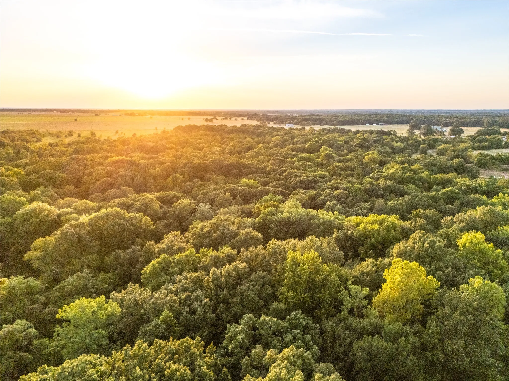 Unimproved Land For Sale in Lamar County , TBD Farm to Market 197, Arthur City, Texas 75411, 0, 0, Garage spaces, 0 Sqft, built in 0, mls#21368472, Real Estate Agent in Arthur City, Homes For Sale in Lamar county, Homes For Sale in Arthur City, Realtor in Arthur City Texas, Real Estate Brokerage Independent Realty Texas, Luminita Cordes Realtor