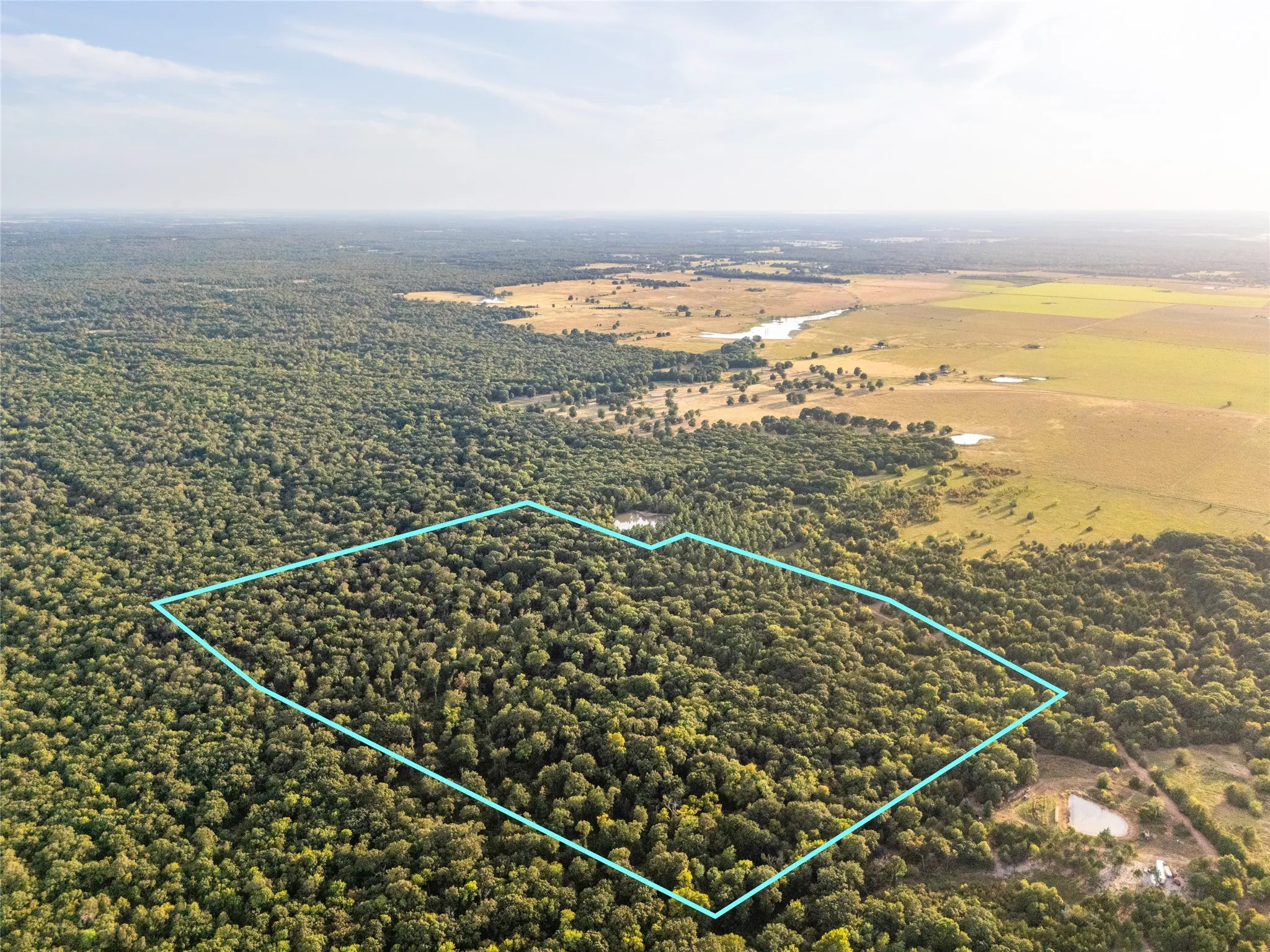 Unimproved Land For Sale in Lamar County , TBD Farm to Market 197, Arthur City, Texas 75411, 0, 0, Garage spaces, 0 Sqft, built in 0, mls#21368472, Real Estate Agent in Arthur City, Homes For Sale in Lamar county, Homes For Sale in Arthur City, Realtor in Arthur City Texas, Real Estate Brokerage Independent Realty Texas, Luminita Cordes Realtor