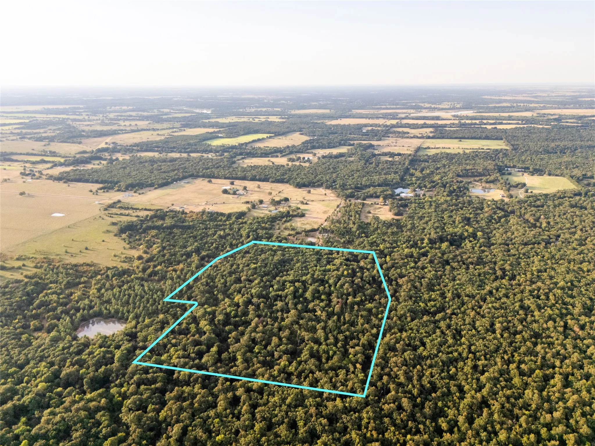 Unimproved Land For Sale in Lamar County , TBD Farm to Market 197, Arthur City, Texas 75411, 0, 0, Garage spaces, 0 Sqft, built in 0, mls#21368472, Real Estate Agent in Arthur City, Homes For Sale in Lamar county, Homes For Sale in Arthur City, Realtor in Arthur City Texas, Real Estate Brokerage Independent Realty Texas, Luminita Cordes Realtor