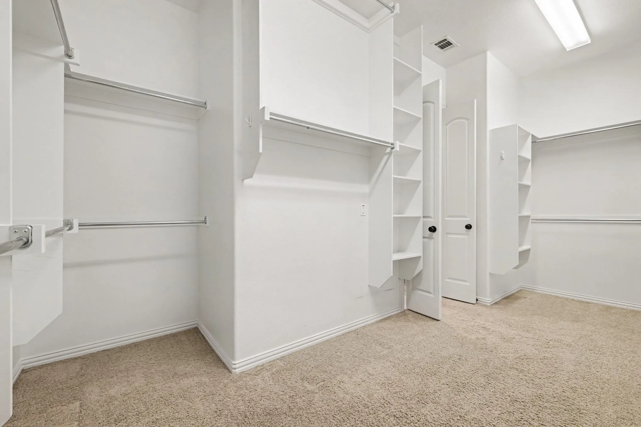 Walk-in closet featuring carpet flooring, built-in shelving, chrome hanging rods, and a flush-mount ceiling light
