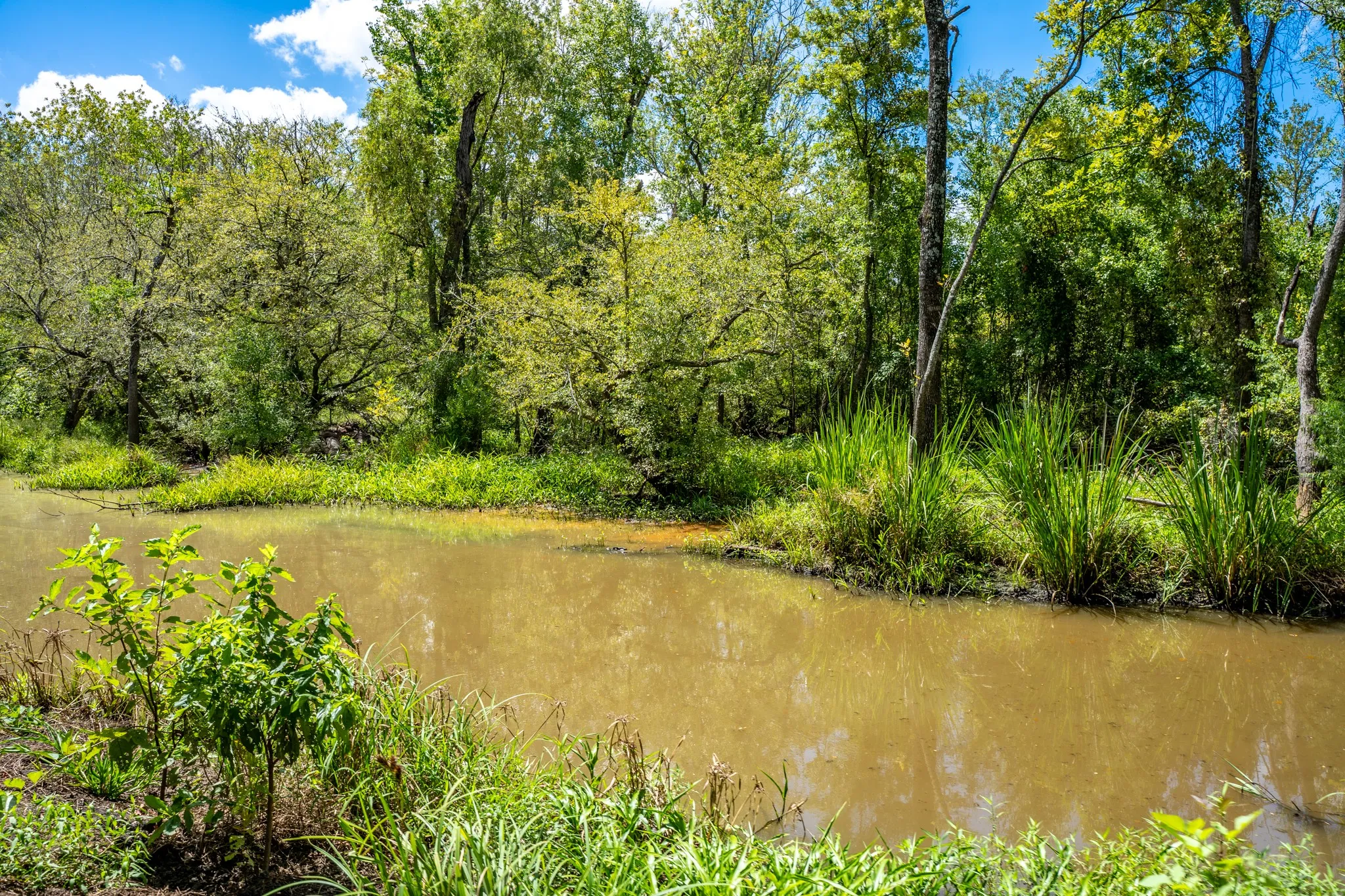 Improved Land For Sale in Leon County , 000 Private Road 1425, Centerville, Texas 75833, 0, 0, Garage spaces, 0 Sqft, built in 0, mls#21368489, Real Estate Agent in Centerville, Homes For Sale in Leon county, Homes For Sale in Centerville, Realtor in Centerville Texas, Real Estate Brokerage Independent Realty Texas, Luminita Cordes Realtor
