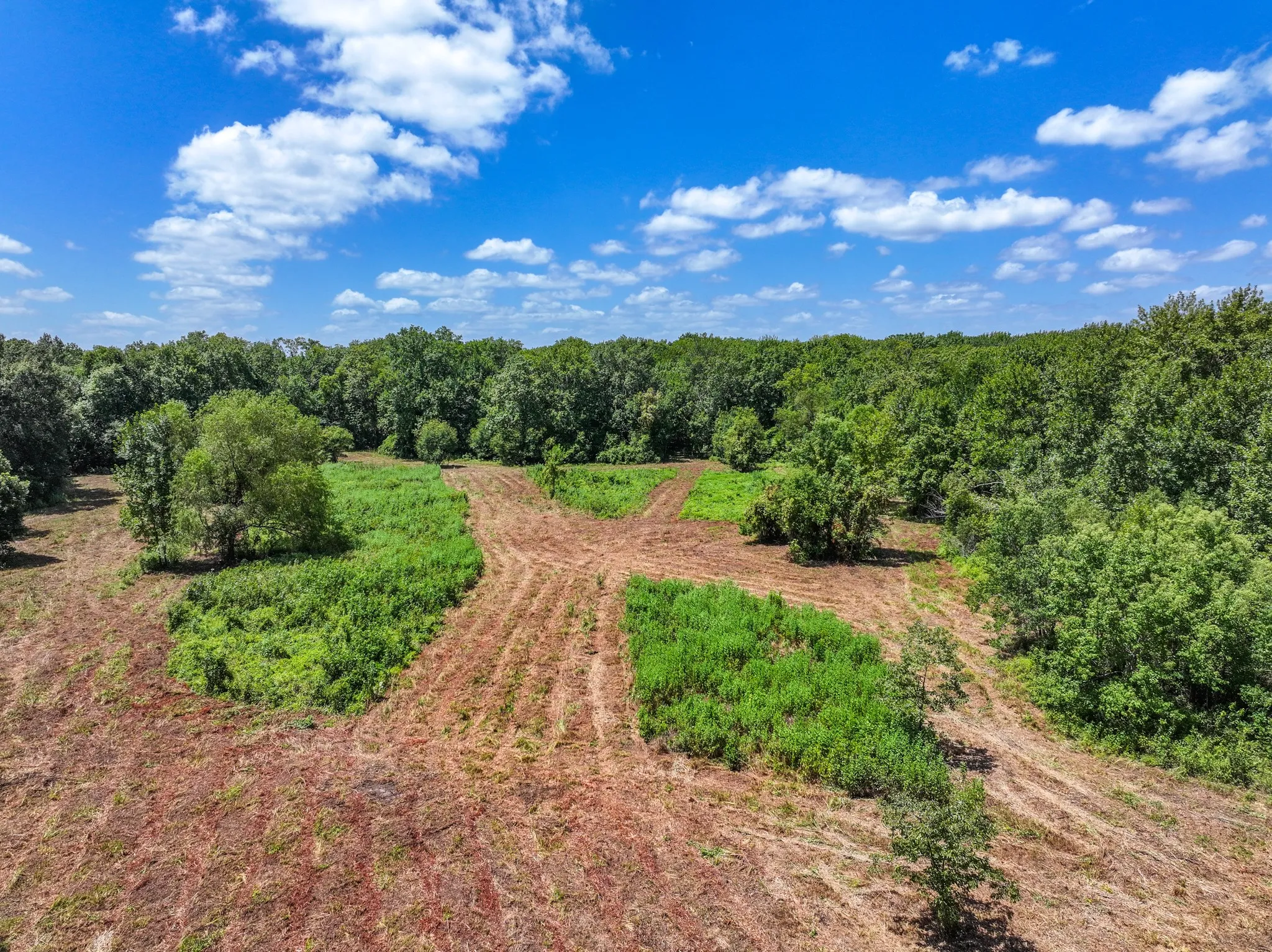 Improved Land For Sale in Leon County , 000 Private Road 1425, Centerville, Texas 75833, 0, 0, Garage spaces, 0 Sqft, built in 0, mls#21368489, Real Estate Agent in Centerville, Homes For Sale in Leon county, Homes For Sale in Centerville, Realtor in Centerville Texas, Real Estate Brokerage Independent Realty Texas, Luminita Cordes Realtor