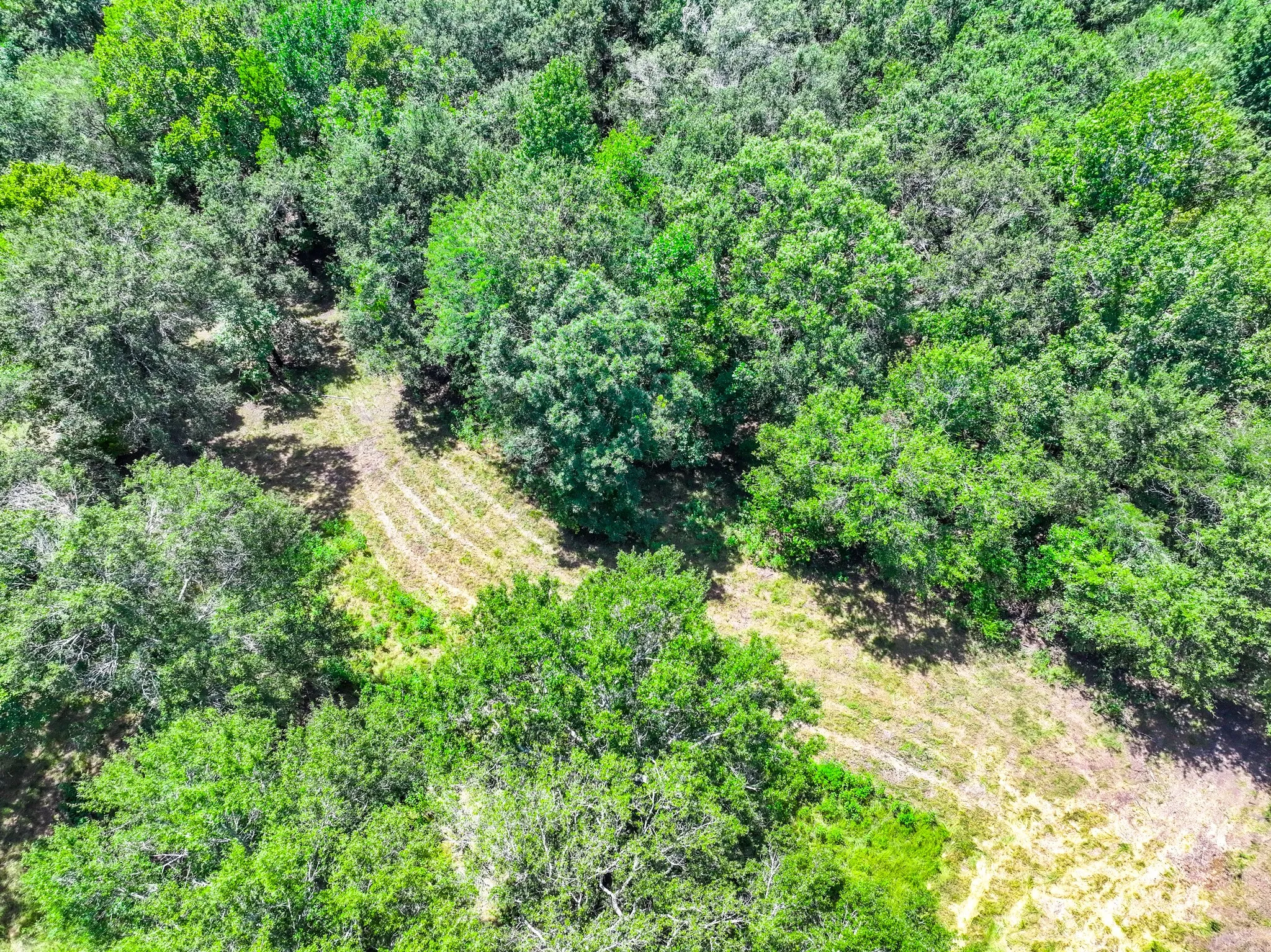 Improved Land For Sale in Leon County , 000 Private Road 1425, Centerville, Texas 75833, 0, 0, Garage spaces, 0 Sqft, built in 0, mls#21368489, Real Estate Agent in Centerville, Homes For Sale in Leon county, Homes For Sale in Centerville, Realtor in Centerville Texas, Real Estate Brokerage Independent Realty Texas, Luminita Cordes Realtor